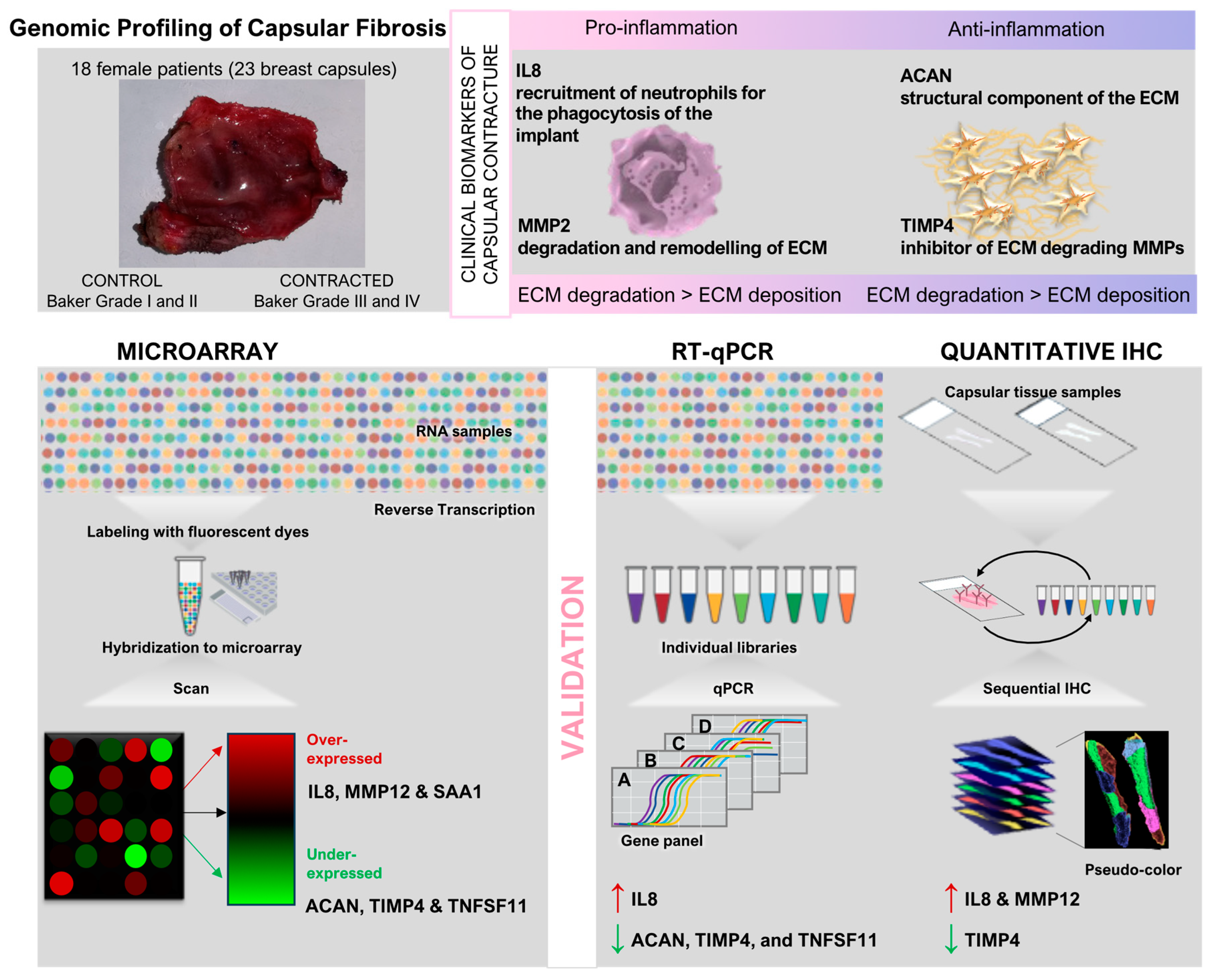 Biomolecules 14 01433 g002
