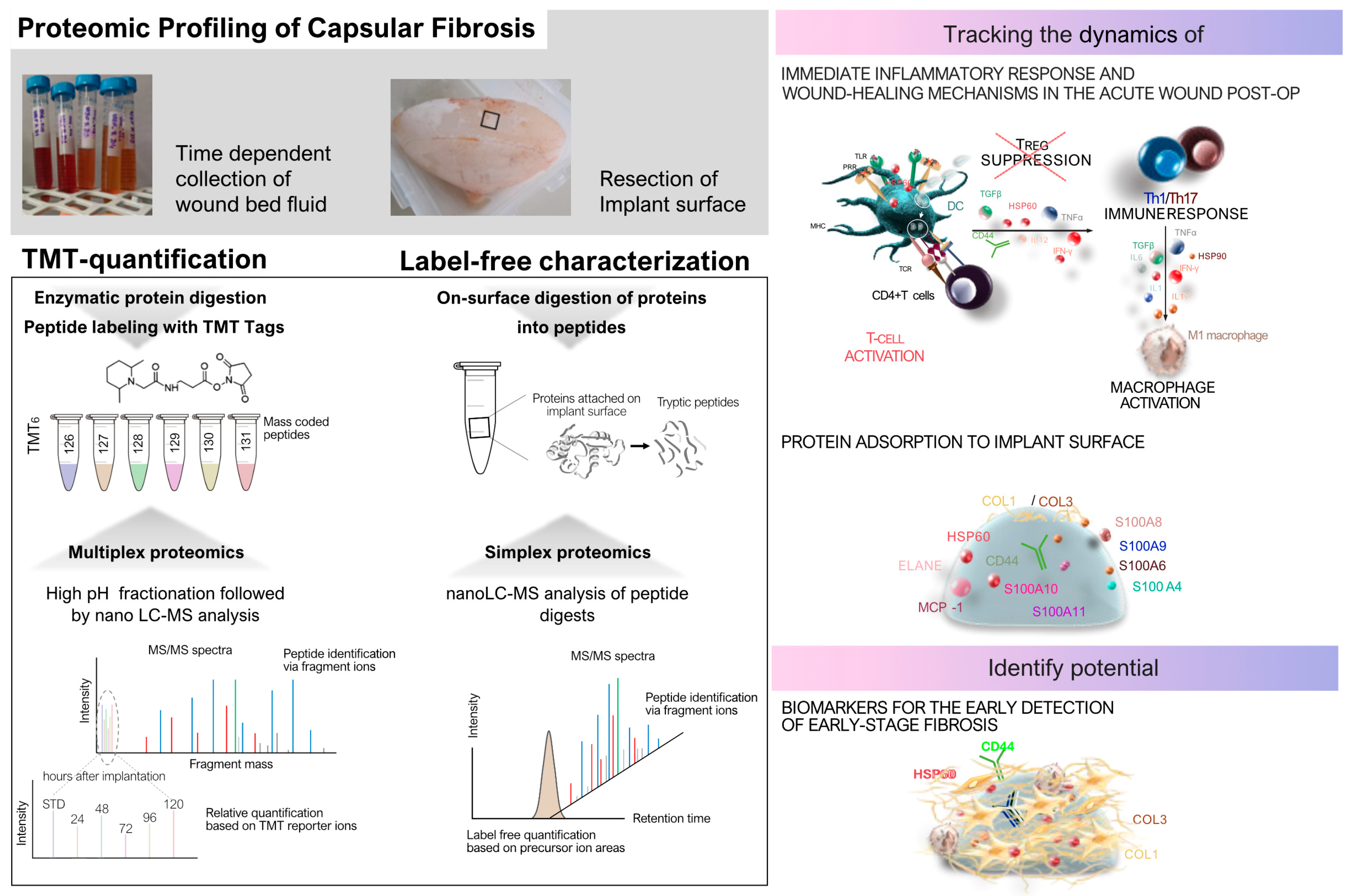 Biomolecules 14 01433 g003