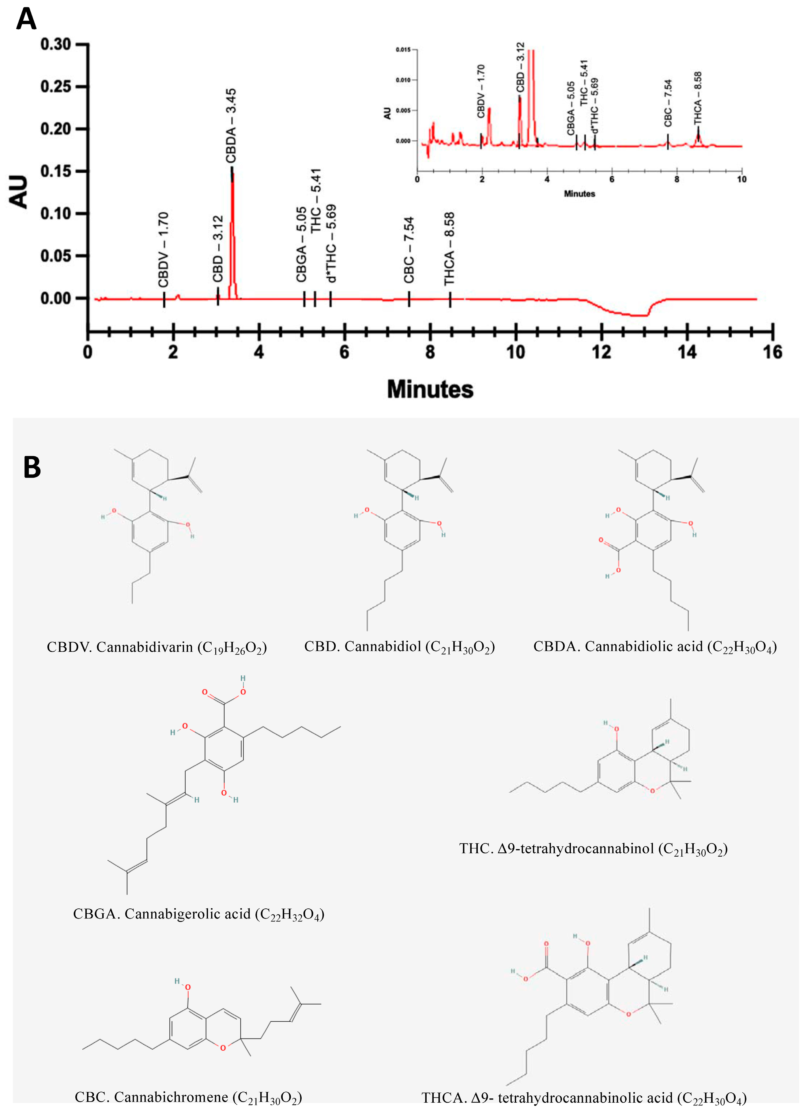 Biomolecules 14 01434 g001