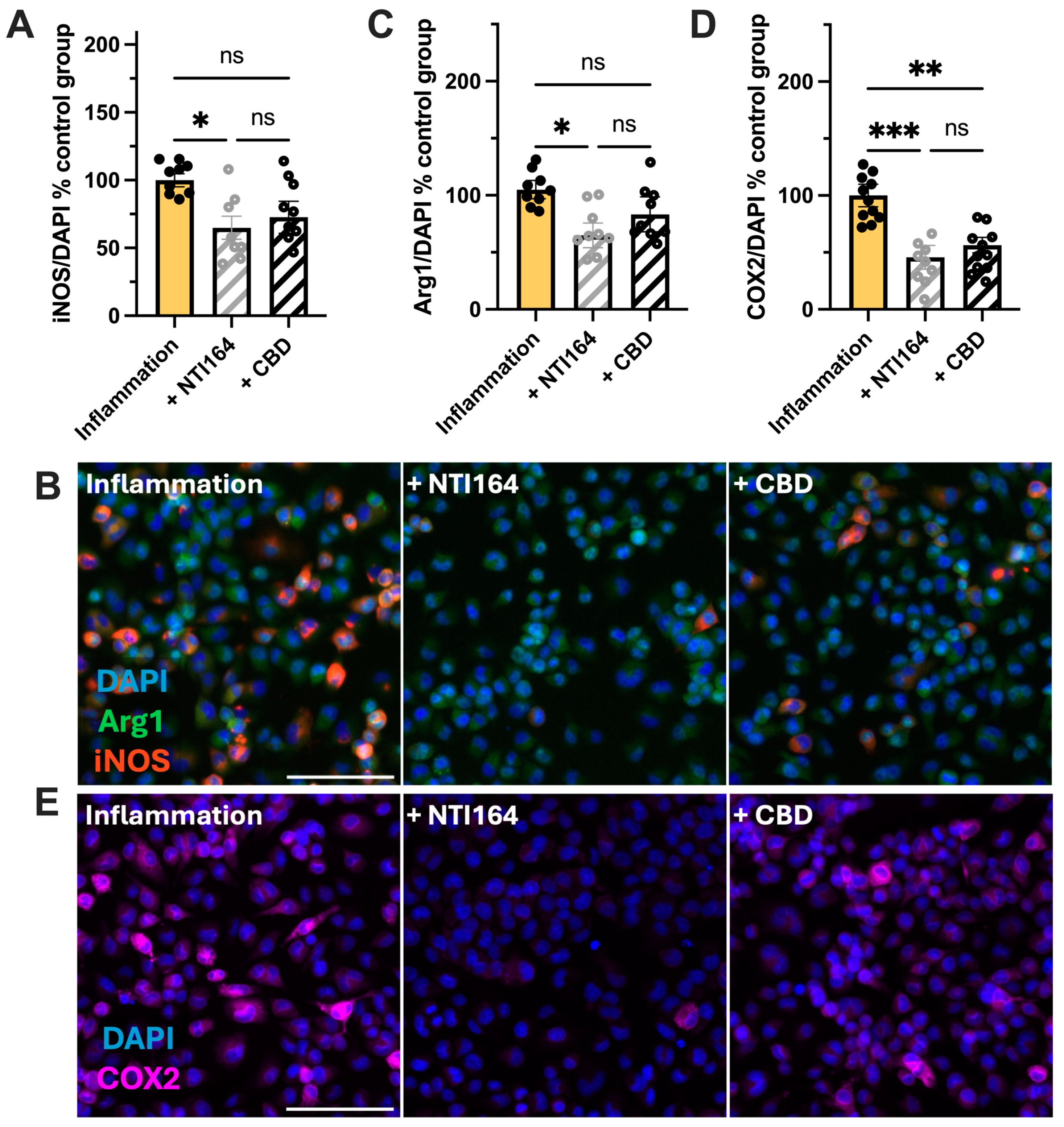 Biomolecules 14 01434 g003