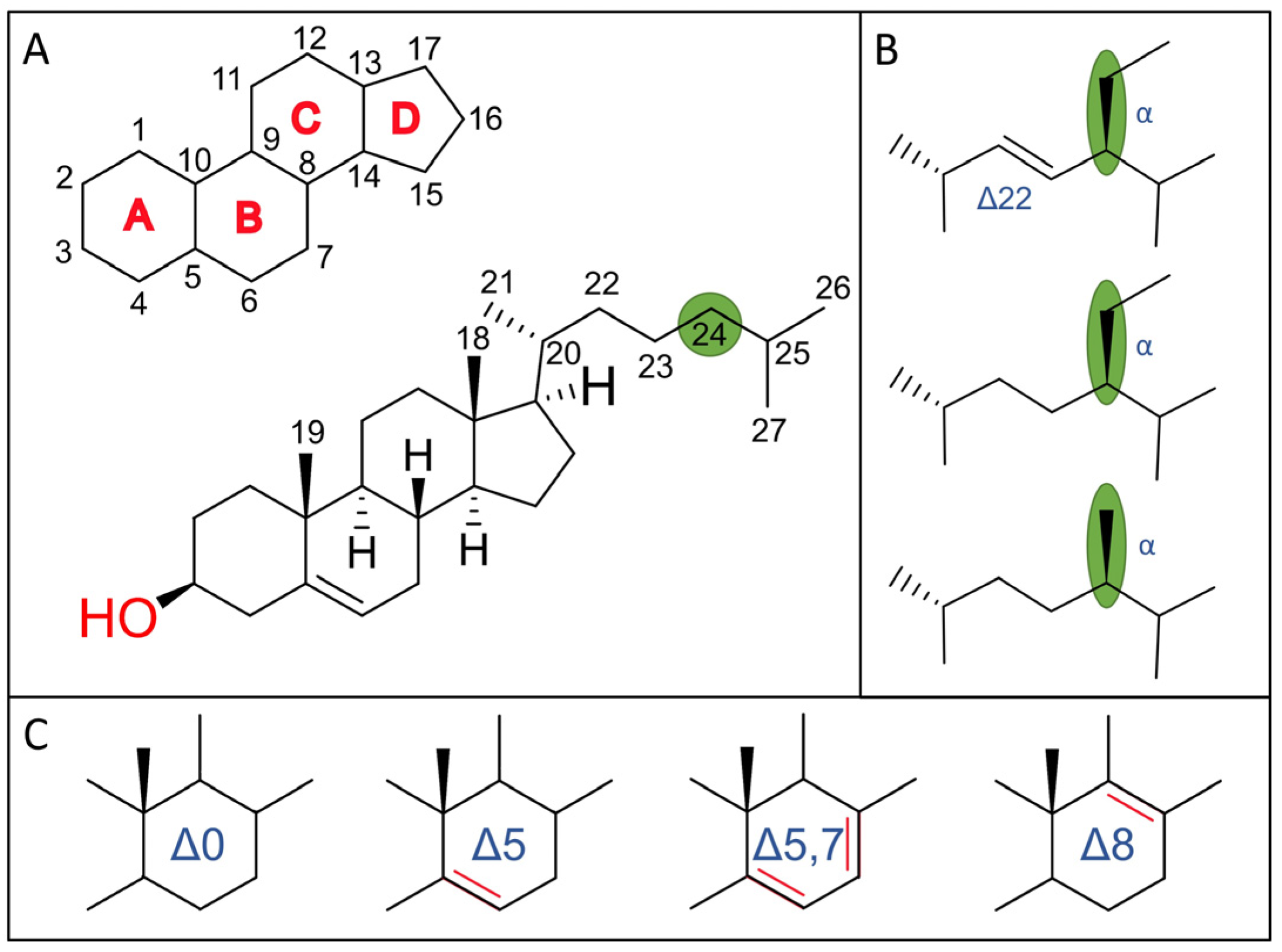 Biomolecules 14 01435 g001