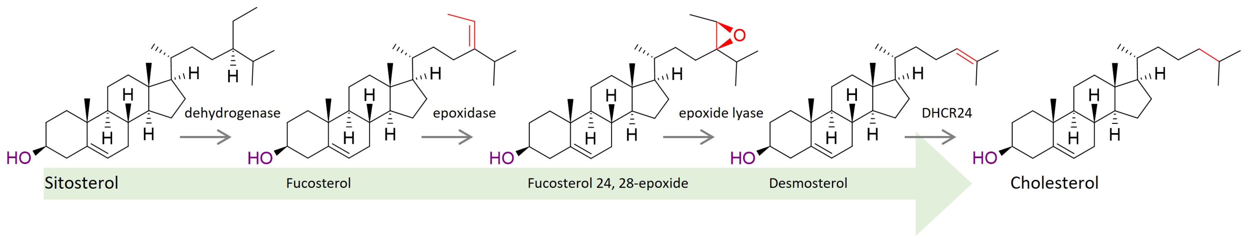 Biomolecules 14 01435 g003