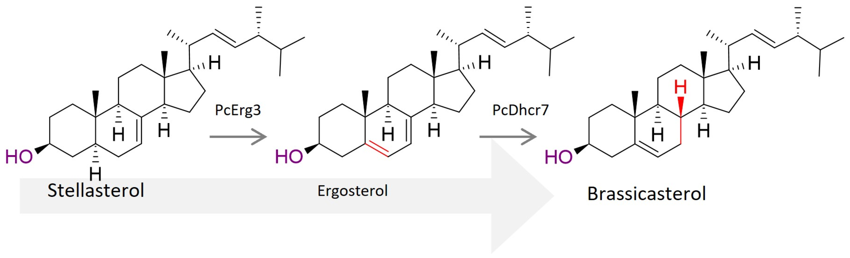 Biomolecules 14 01435 g004