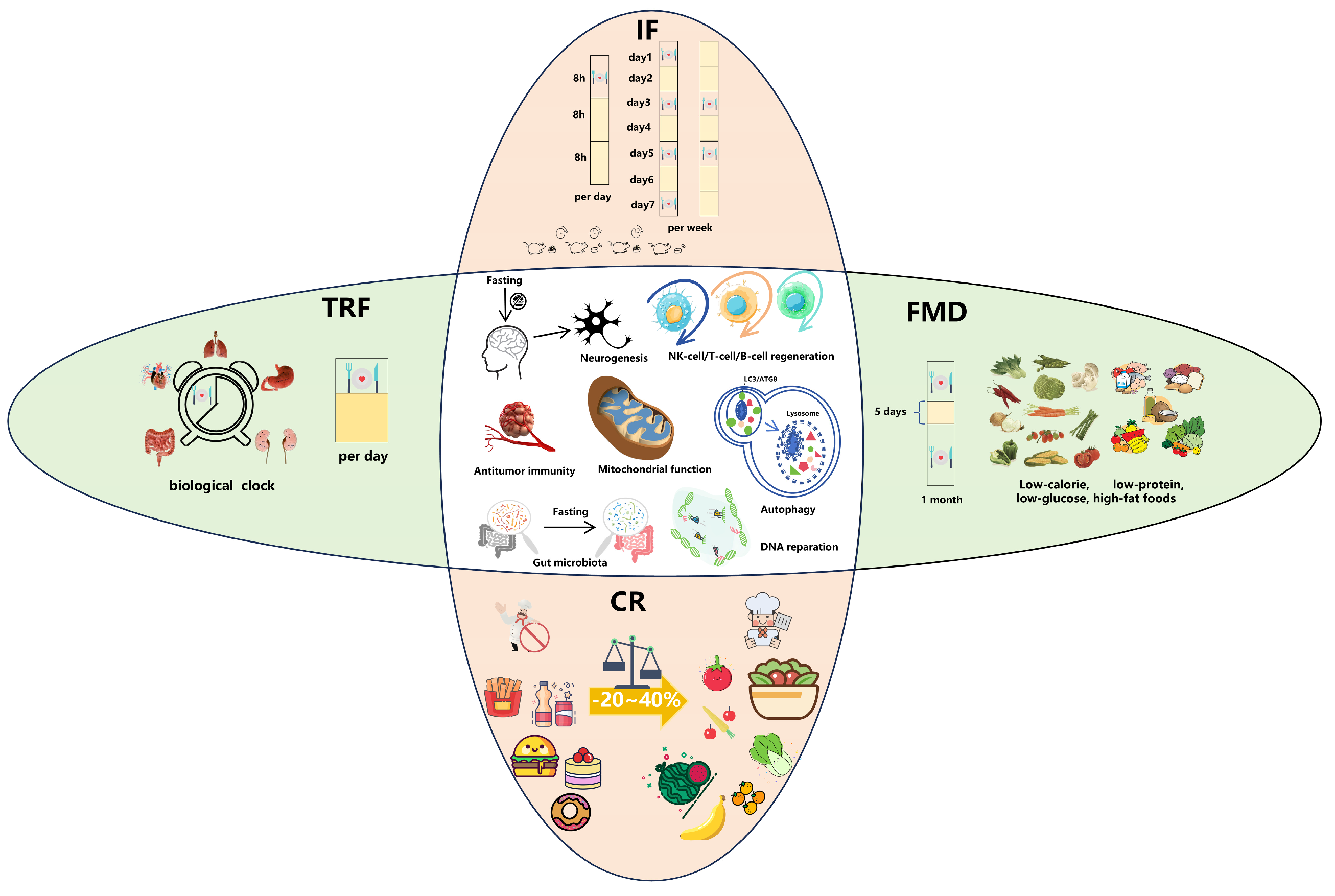 Biomolecules 14 01437 g001