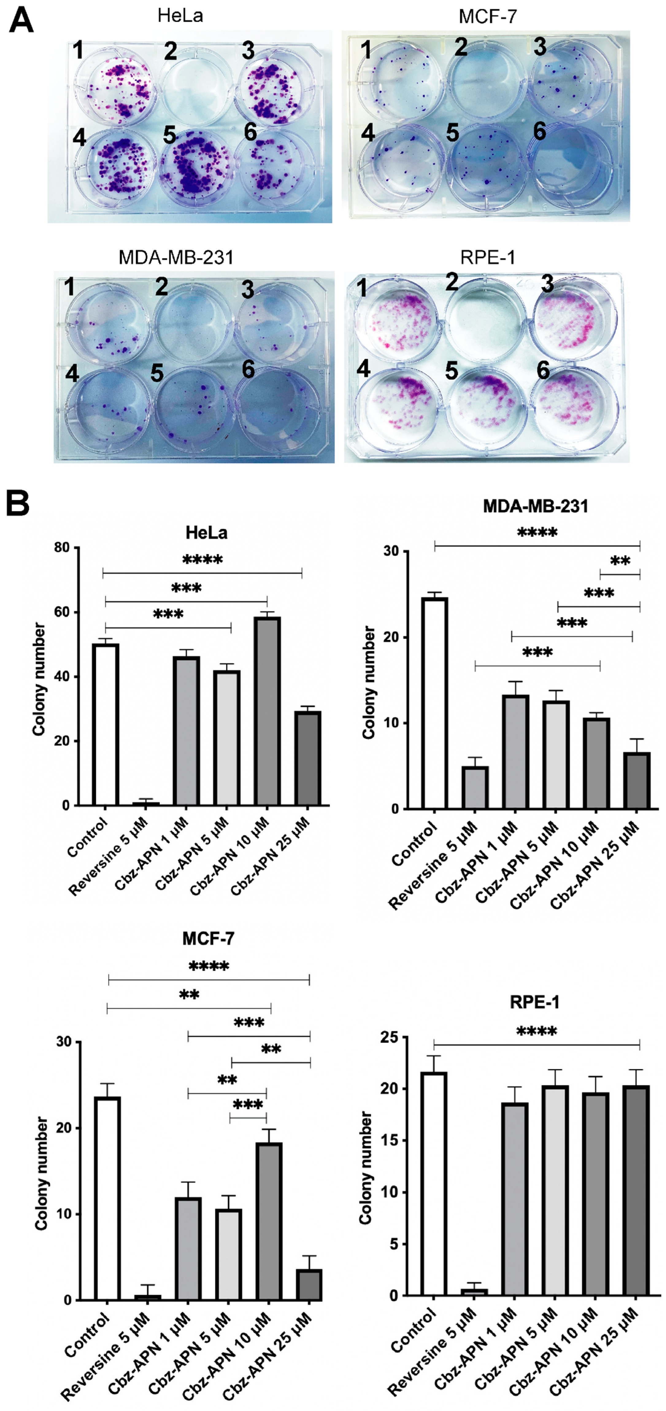 Biomolecules 14 01439 g005