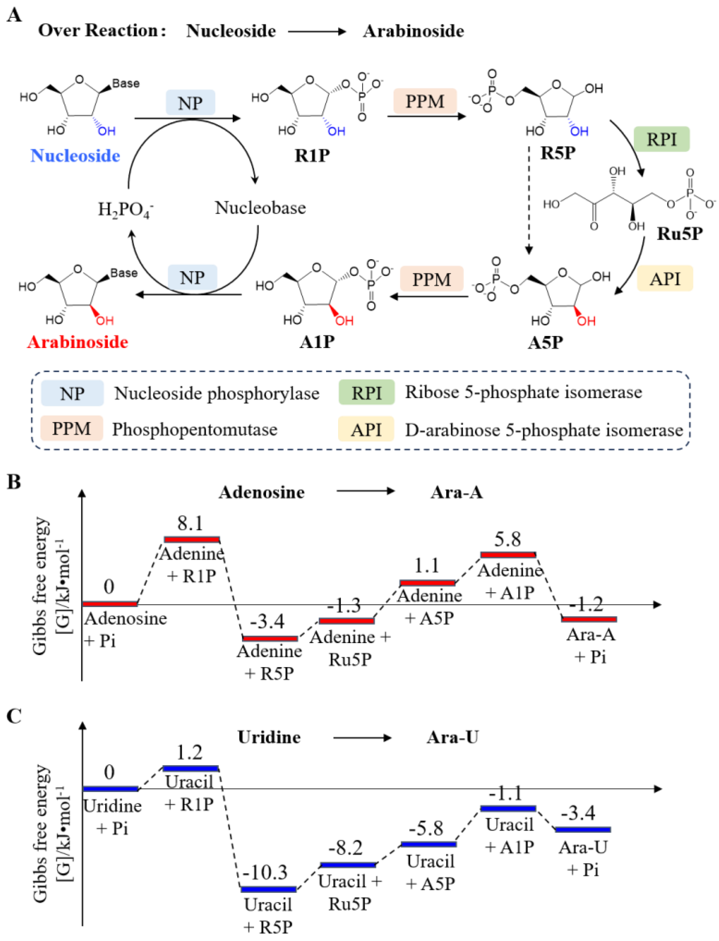 Biomolecules 14 01440 g001
