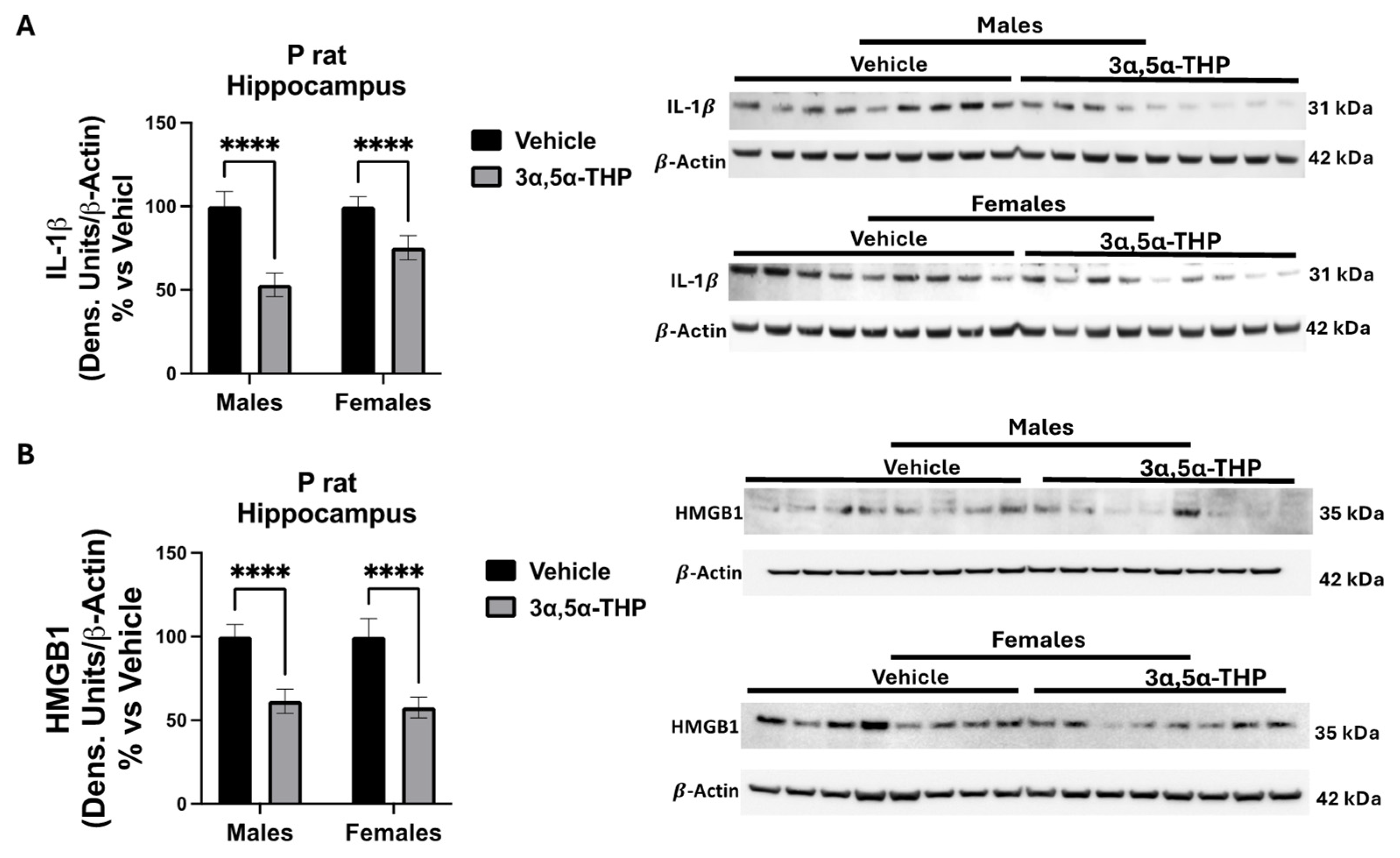 Biomolecules 14 01441 g001