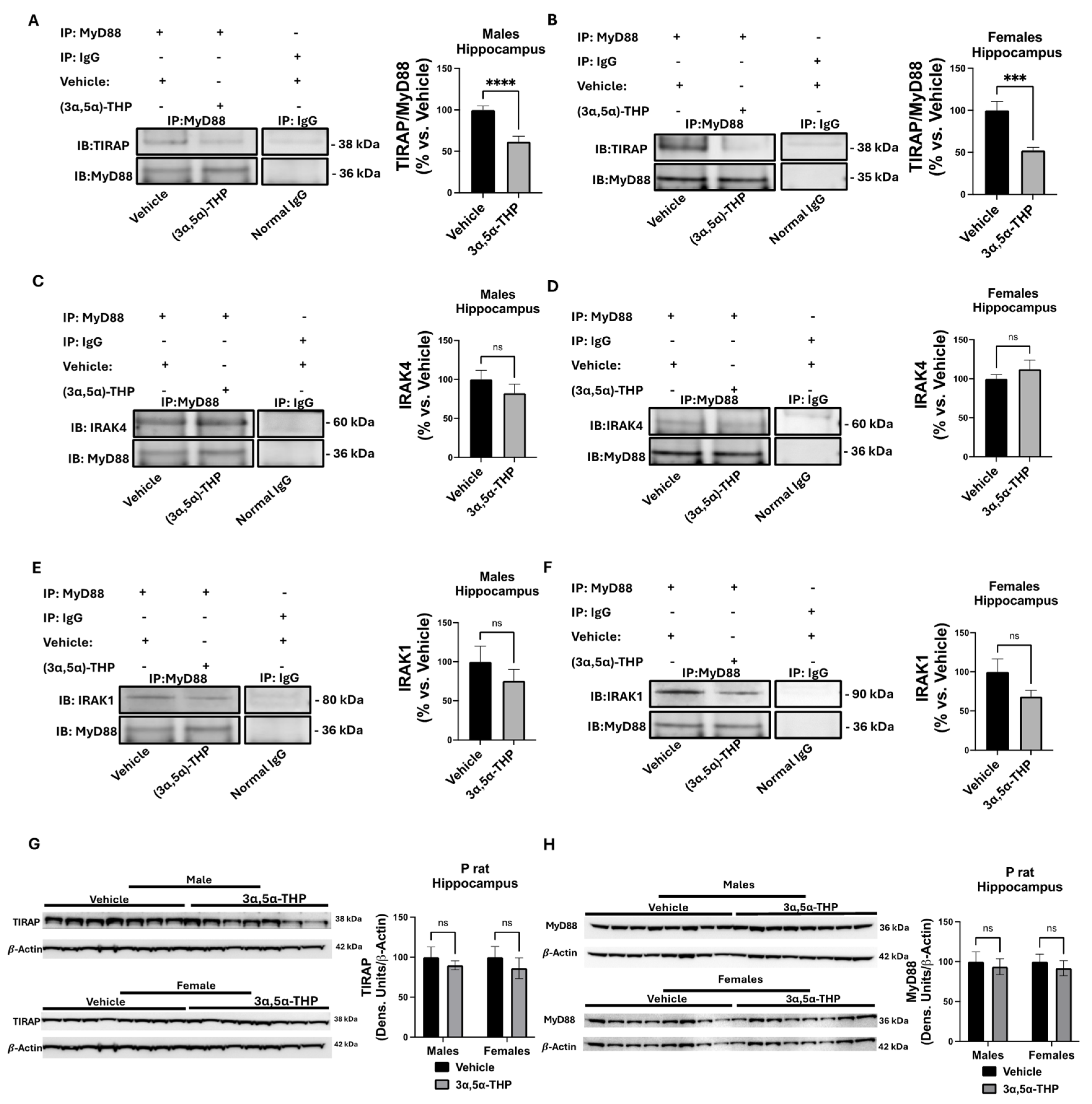 Biomolecules 14 01441 g002