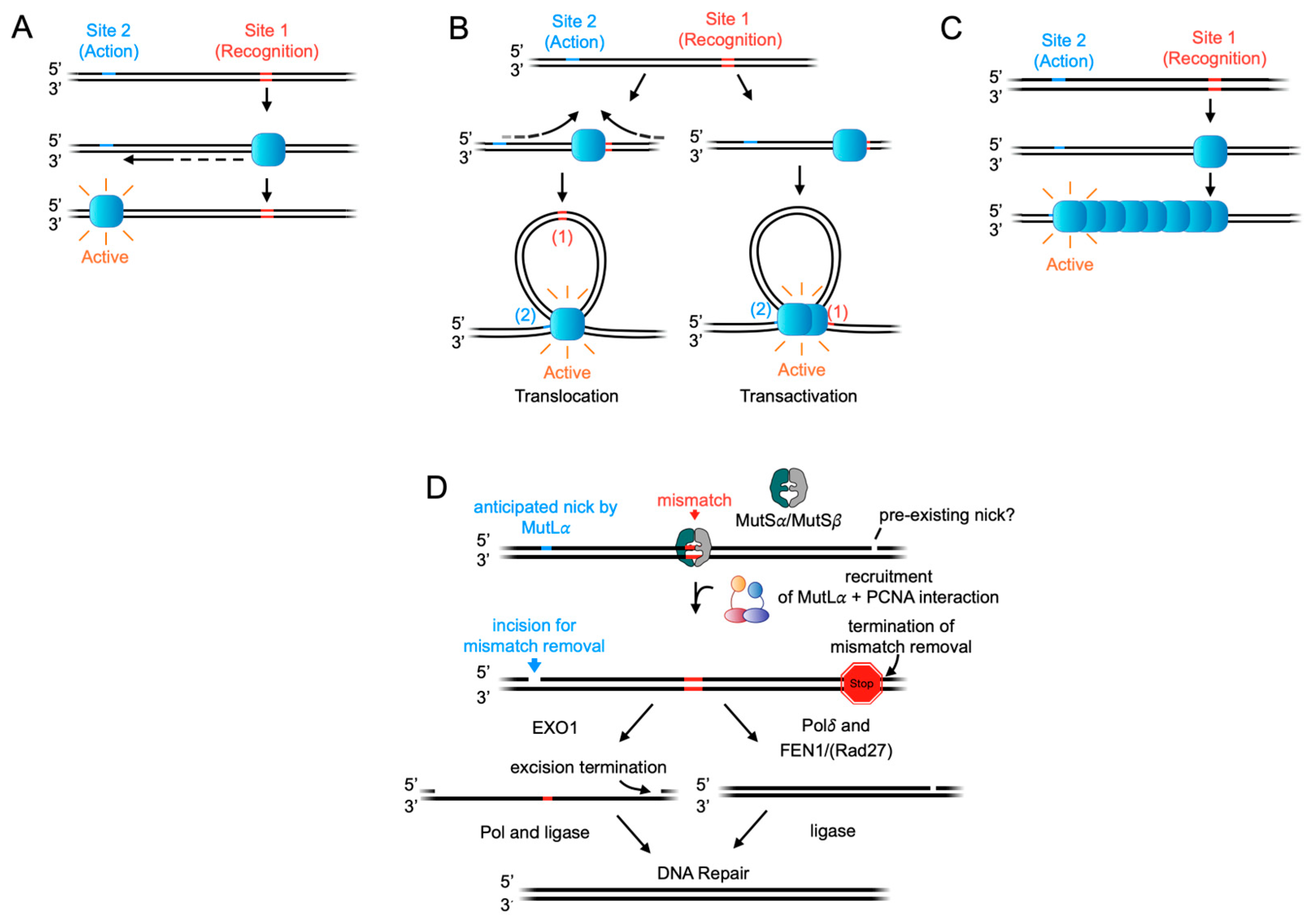 Biomolecules 14 01442 g001