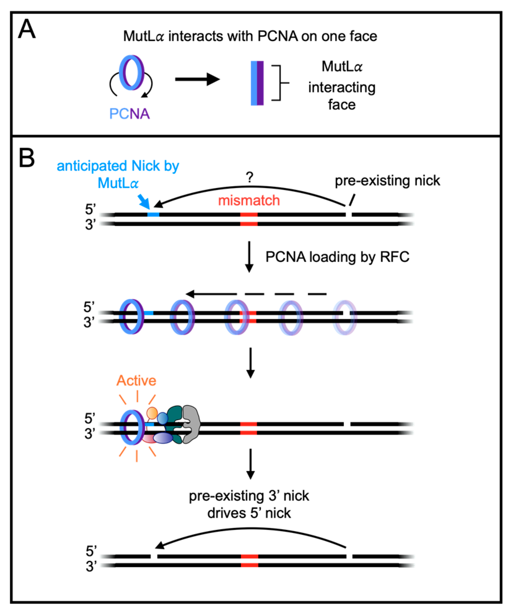 Biomolecules 14 01442 g002