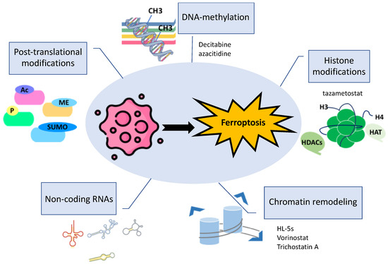 Ferroptosis in Cancer: Epigenetic Control and Therapeutic