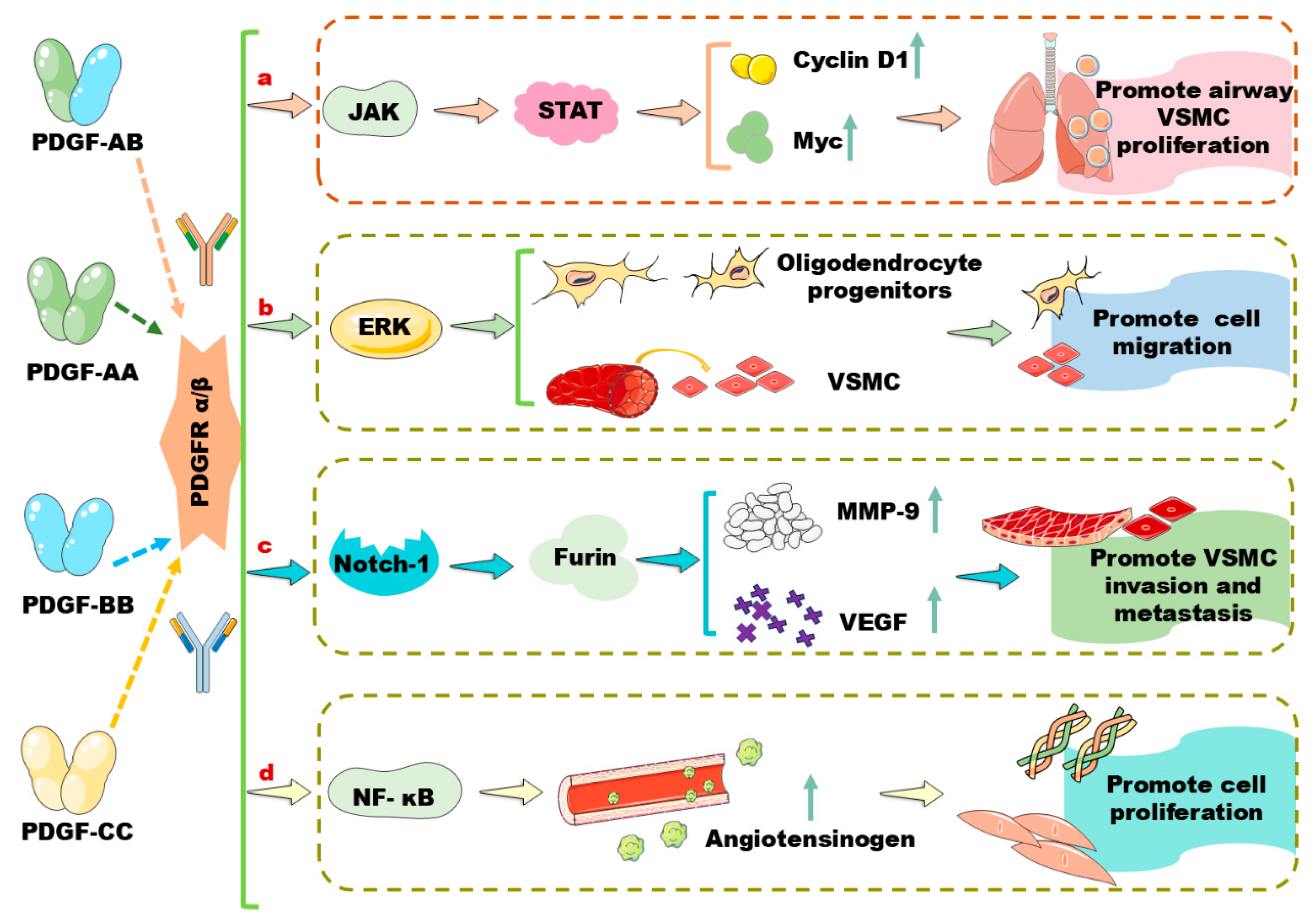 Biomolecules 14 01446 g001 Biomolecules 14 01446 g001