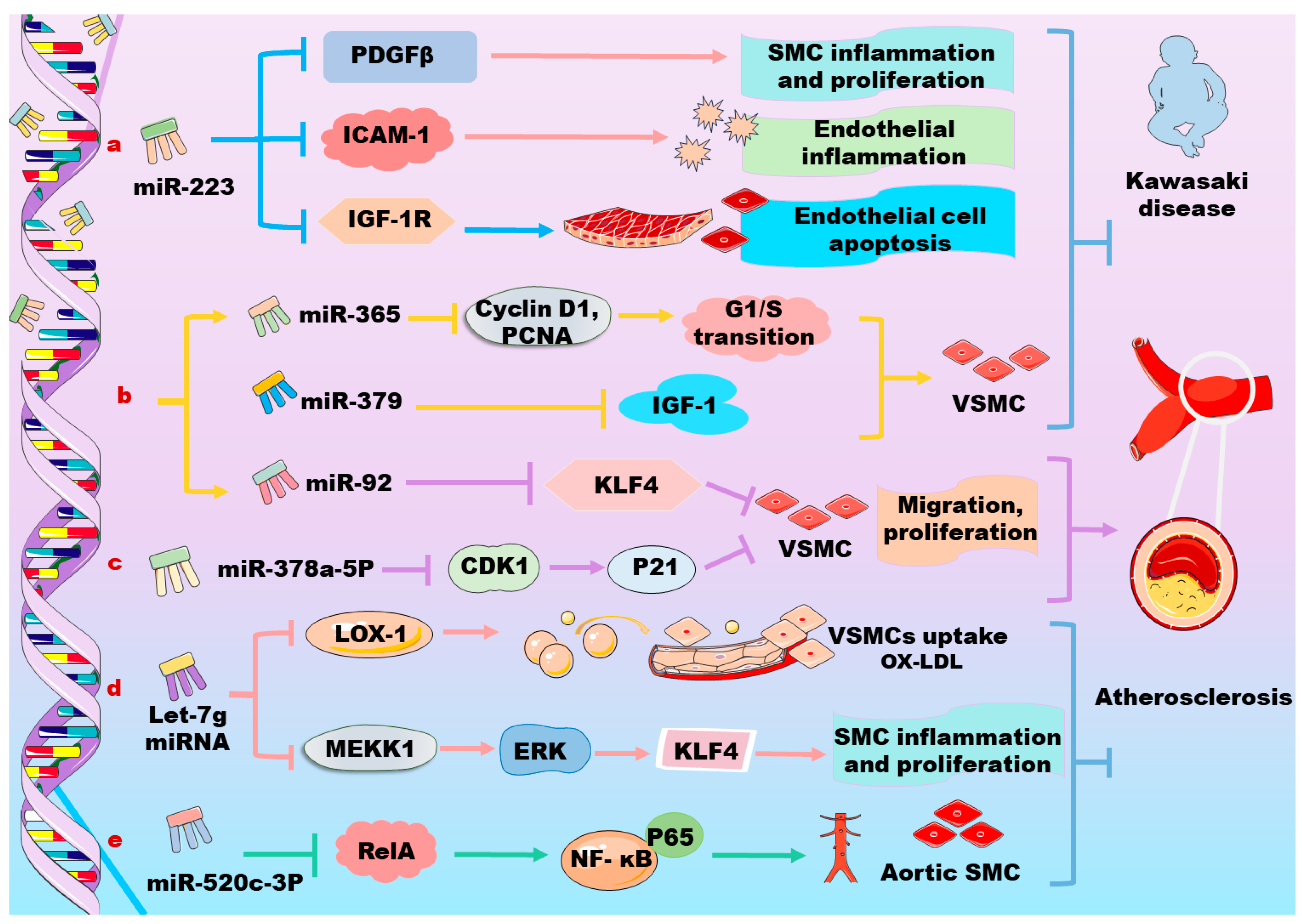 Biomolecules 14 01446 g002 Biomolecules 14 01446 g002