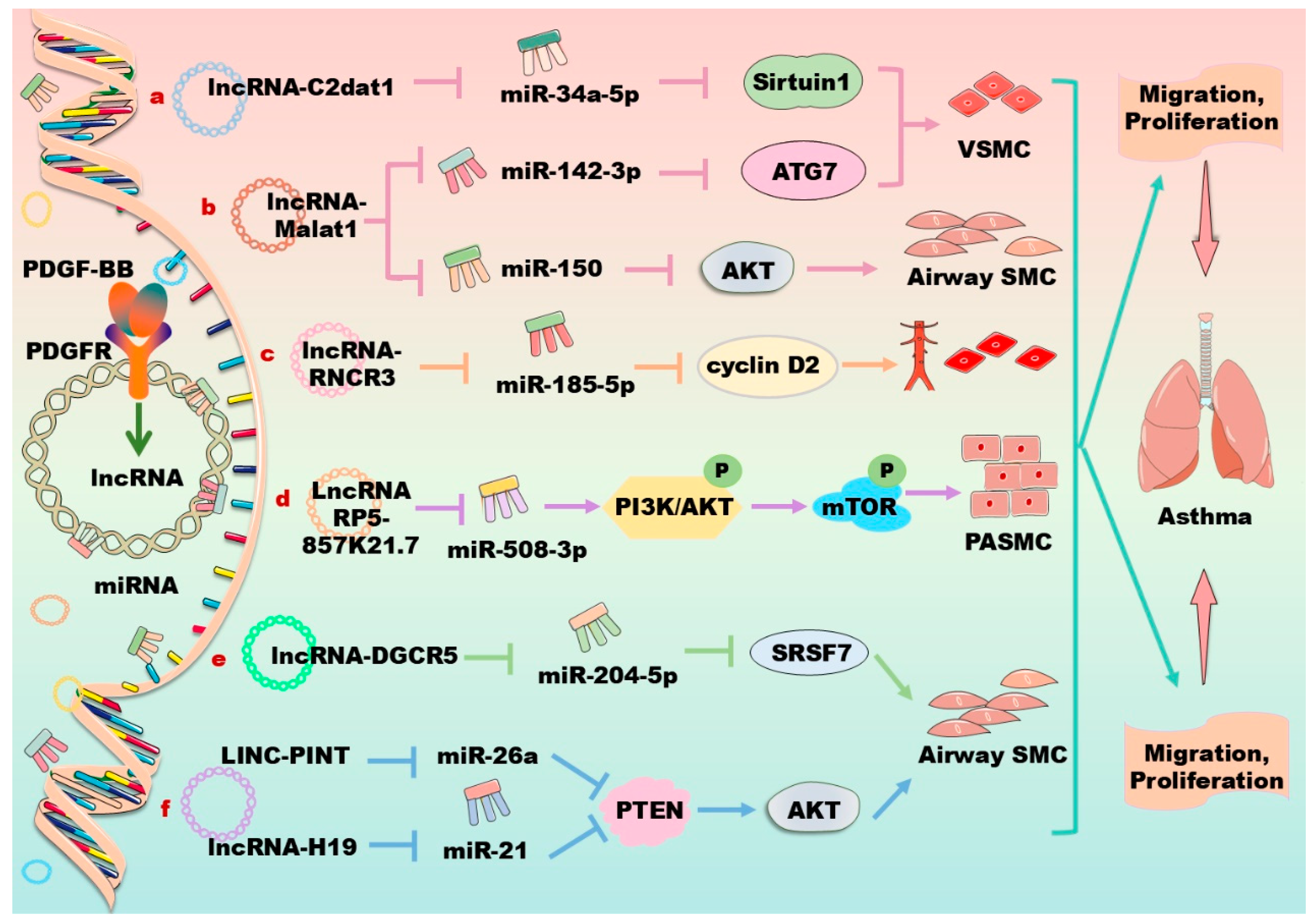 Biomolecules 14 01446 g004 Biomolecules 14 01446 g004