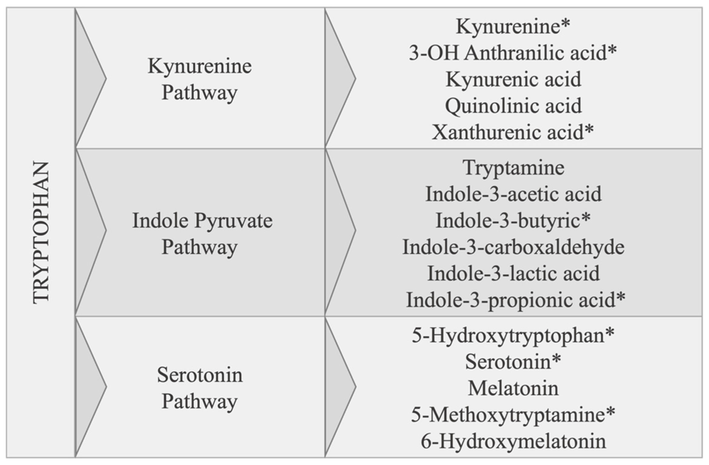 Biomolecules 14 01449 g001