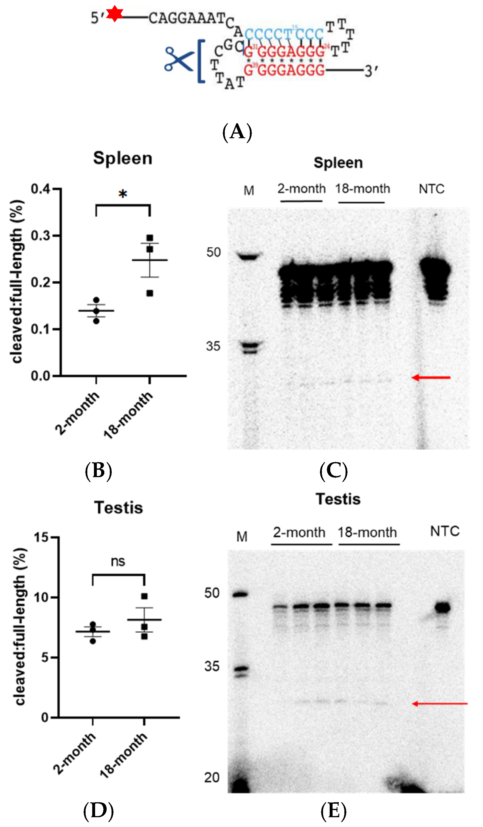 Biomolecules 14 01453 g003