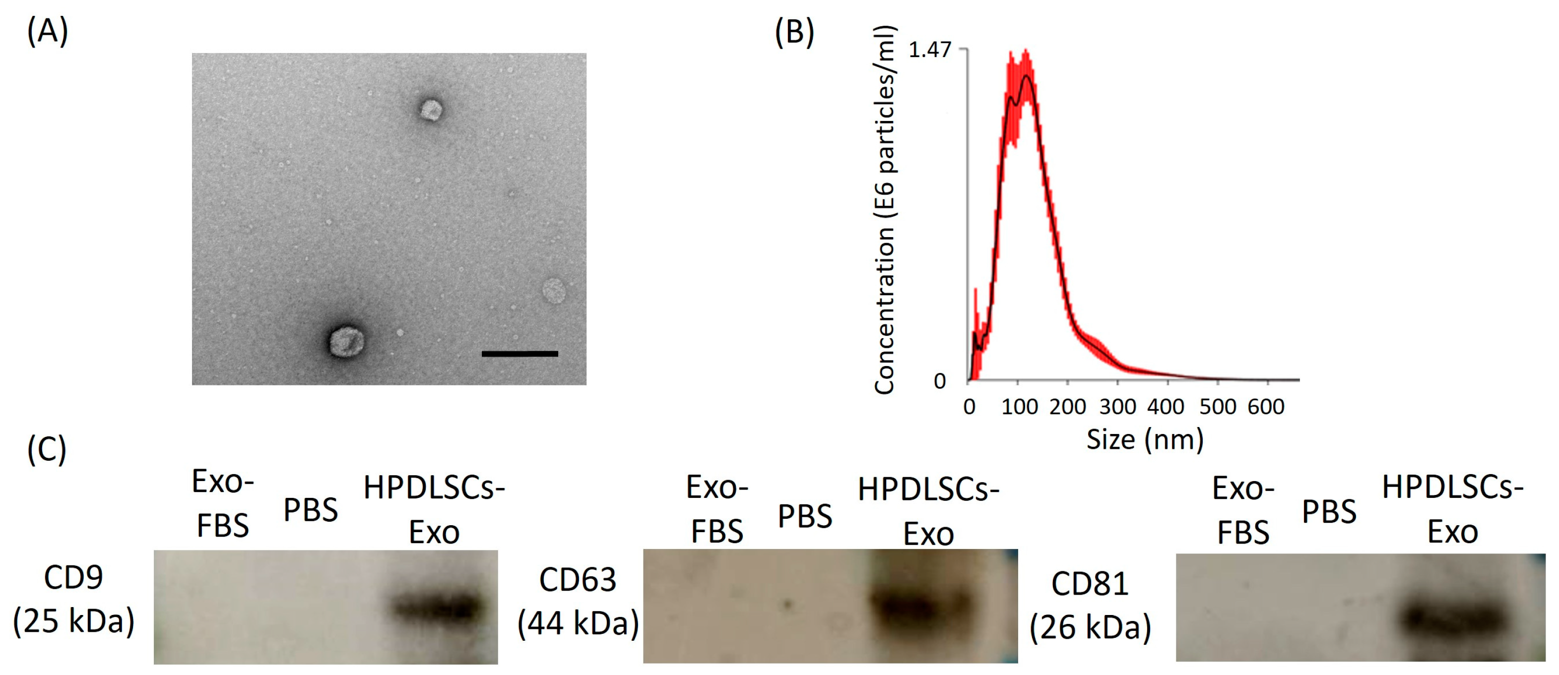 Biomolecules 14 01455 g001
