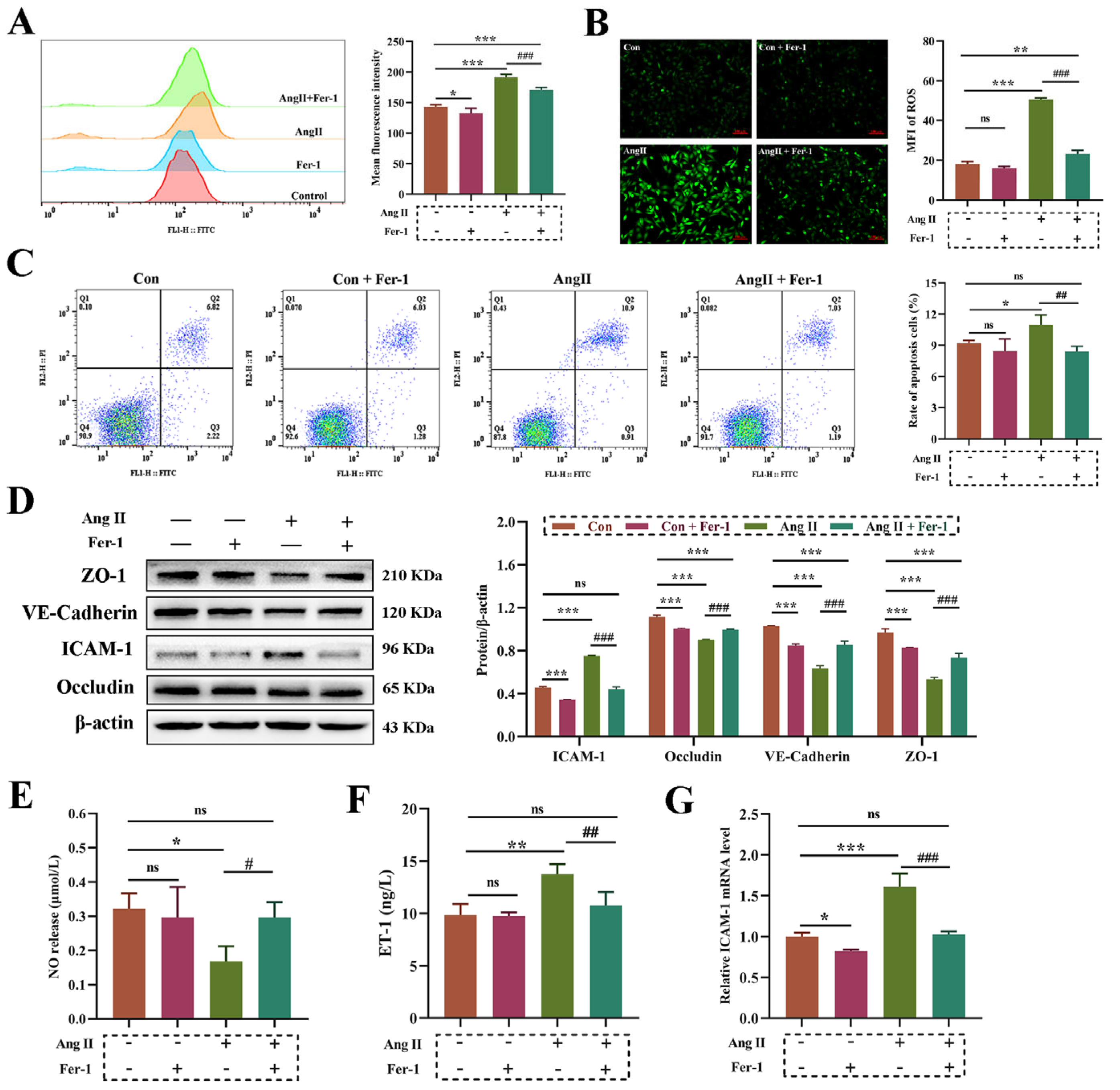 Biomolecules 14 01456 g005
