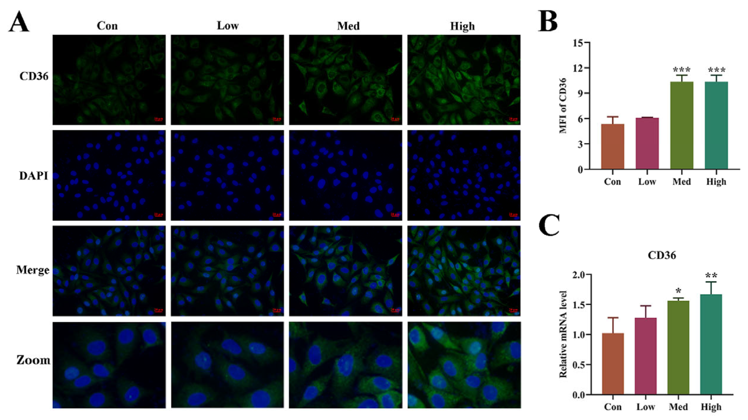 Biomolecules 14 01456 g006