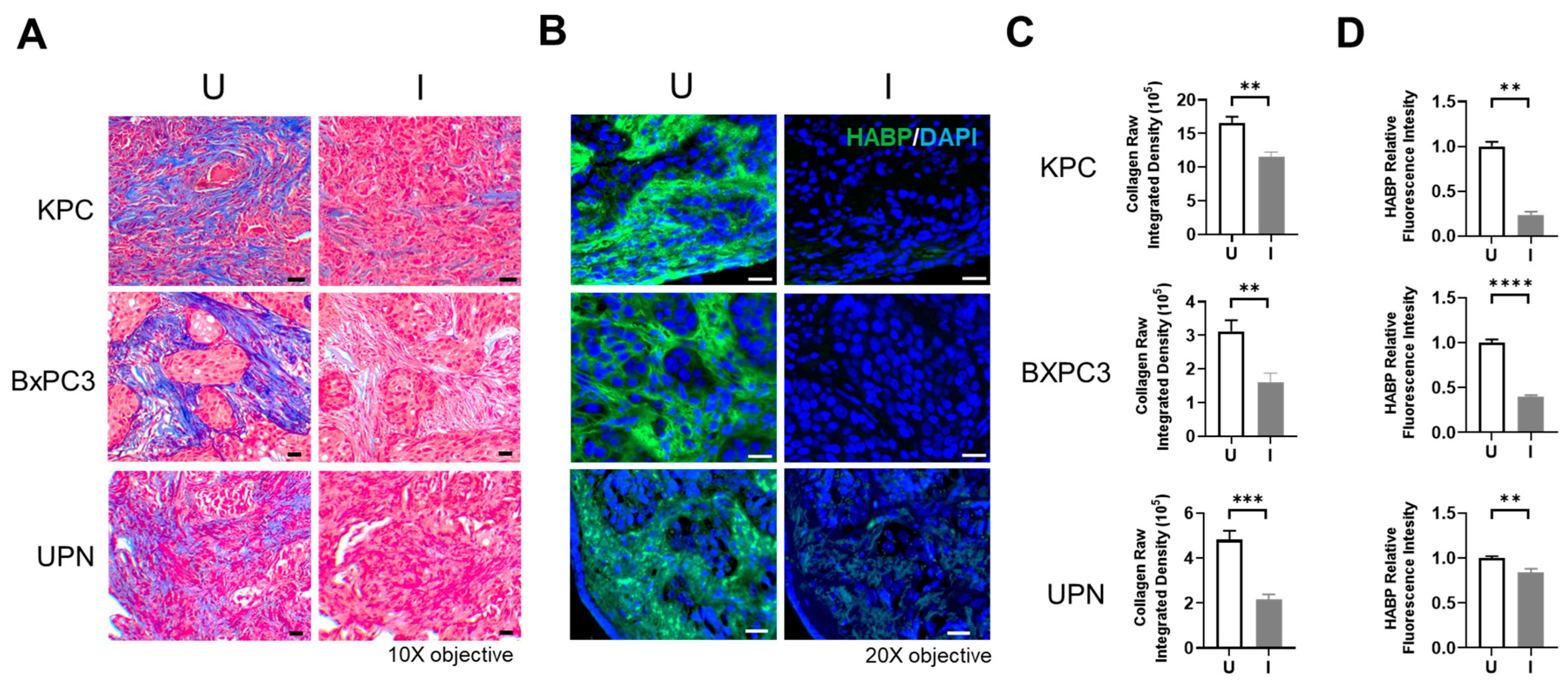 Biomolecules 14 01458 g003