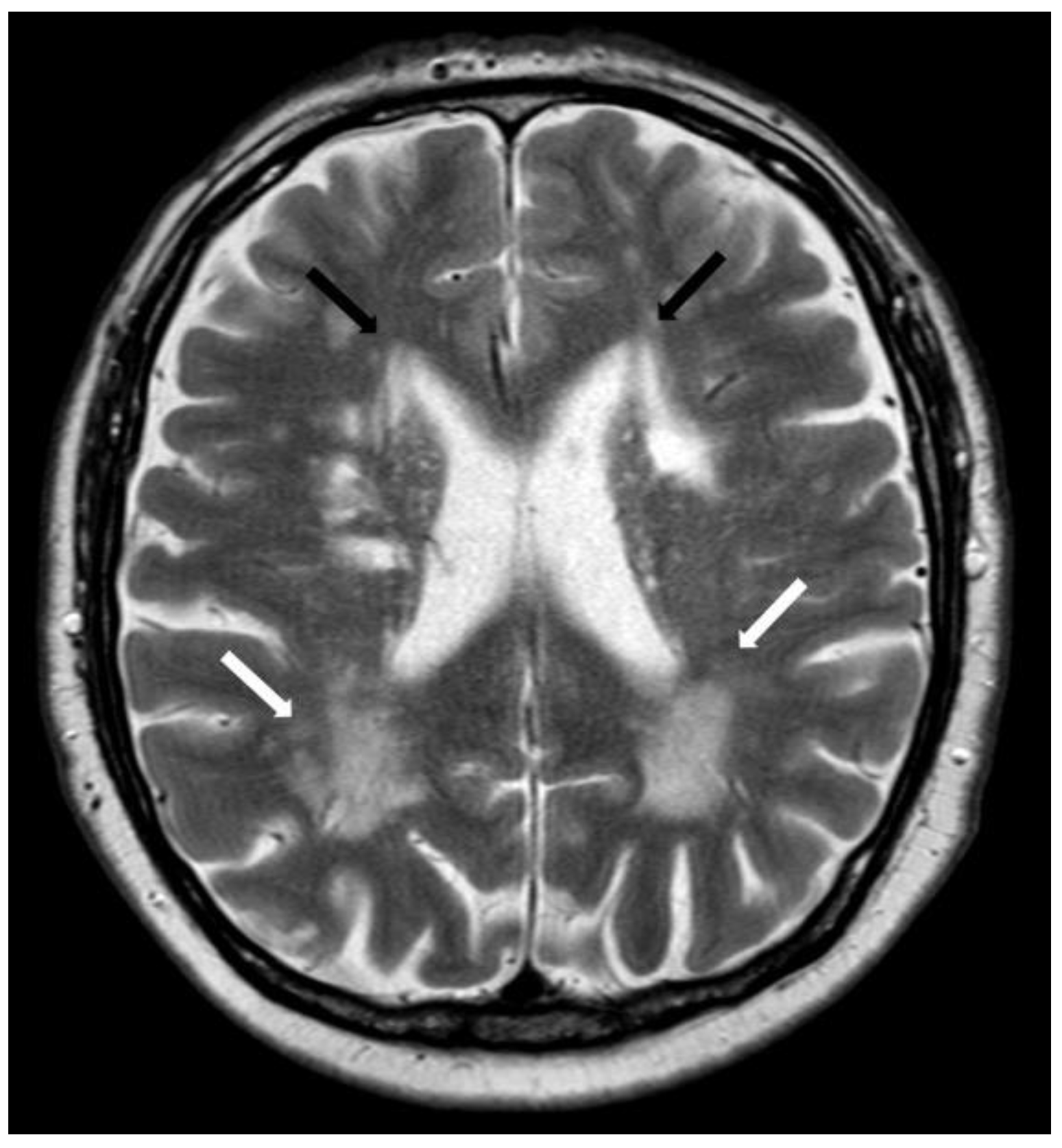 Biomolecules 14 01459 g014