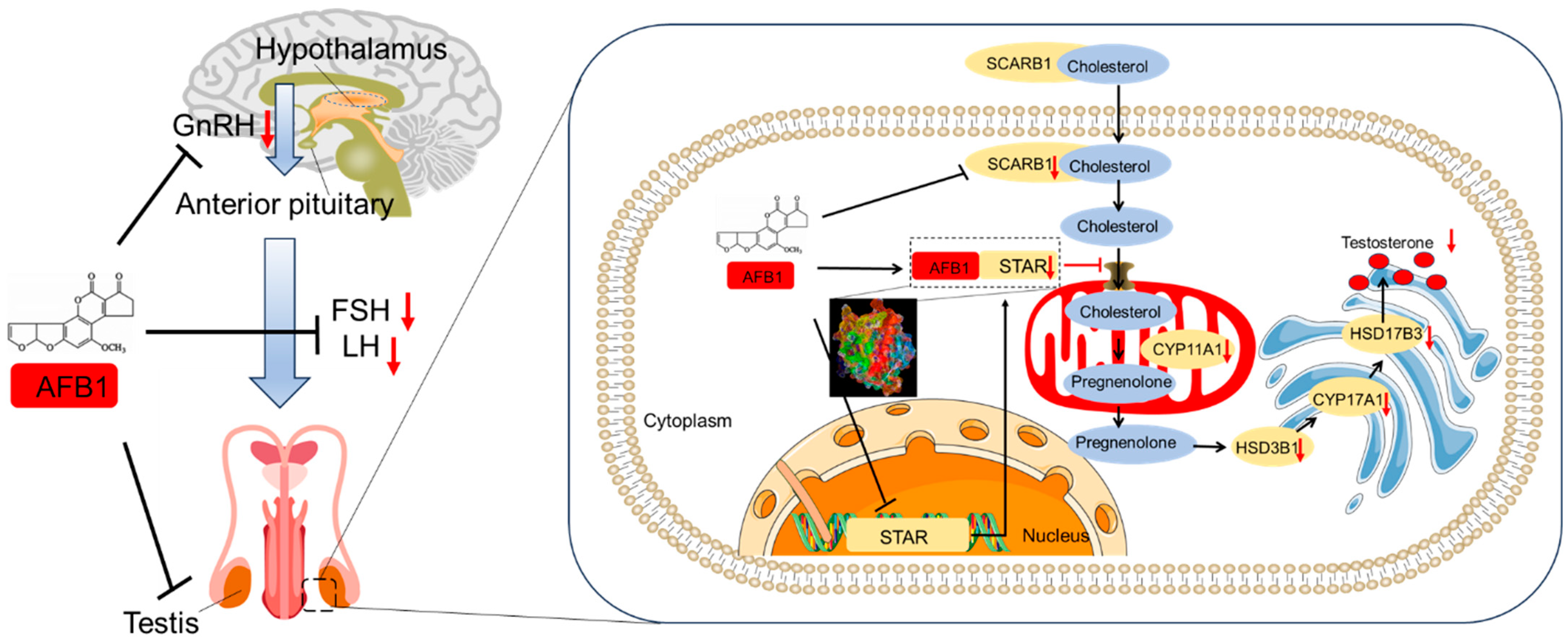 Biomolecules 14 01460 g001