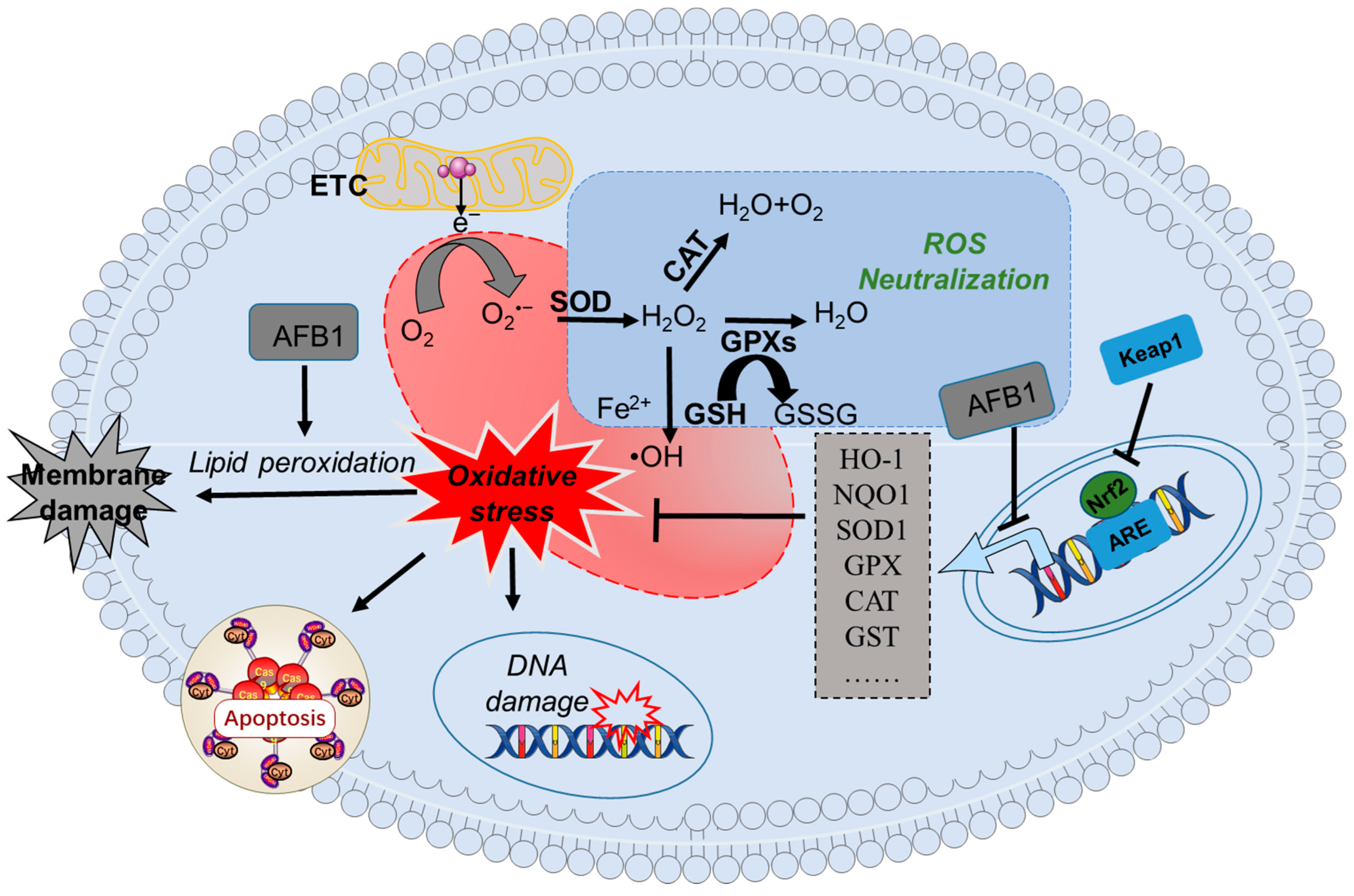 Biomolecules 14 01460 g002