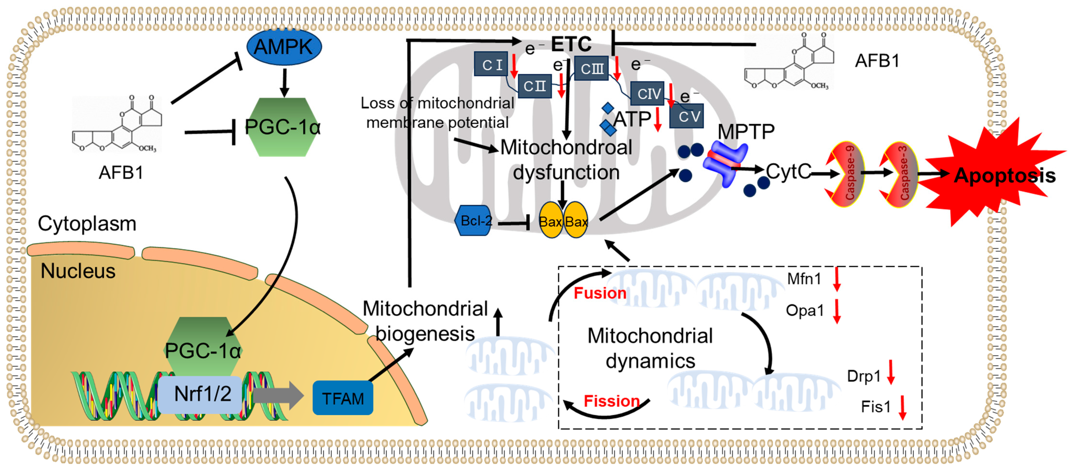 Biomolecules 14 01460 g003