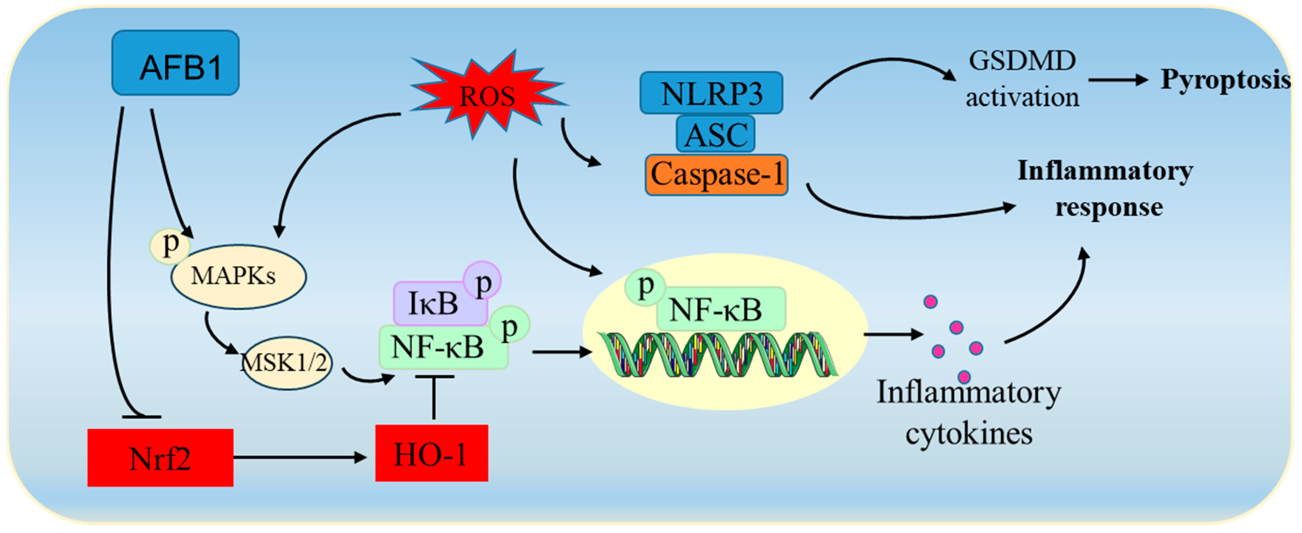 Biomolecules 14 01460 g004