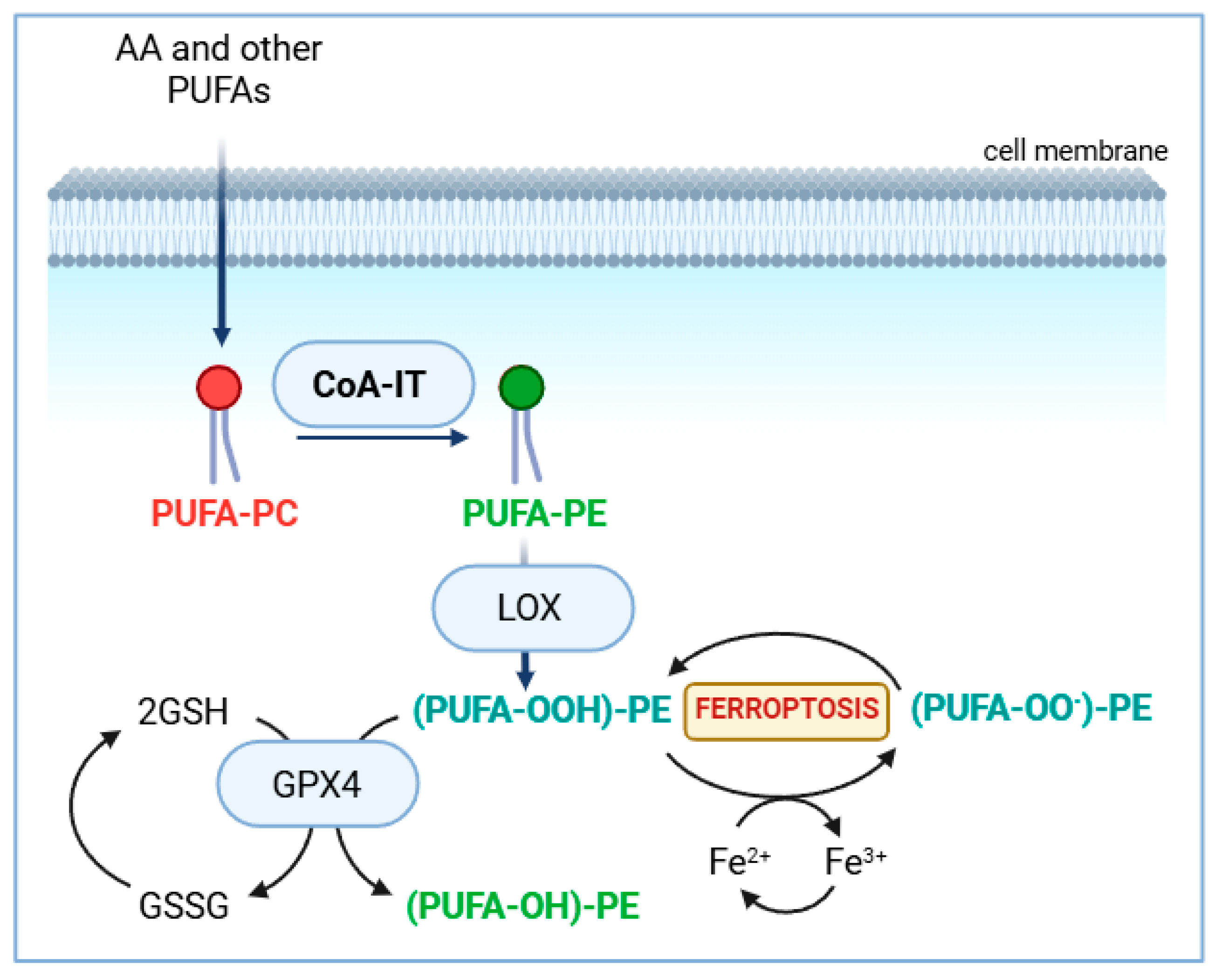 Biomolecules 14 01461 g003