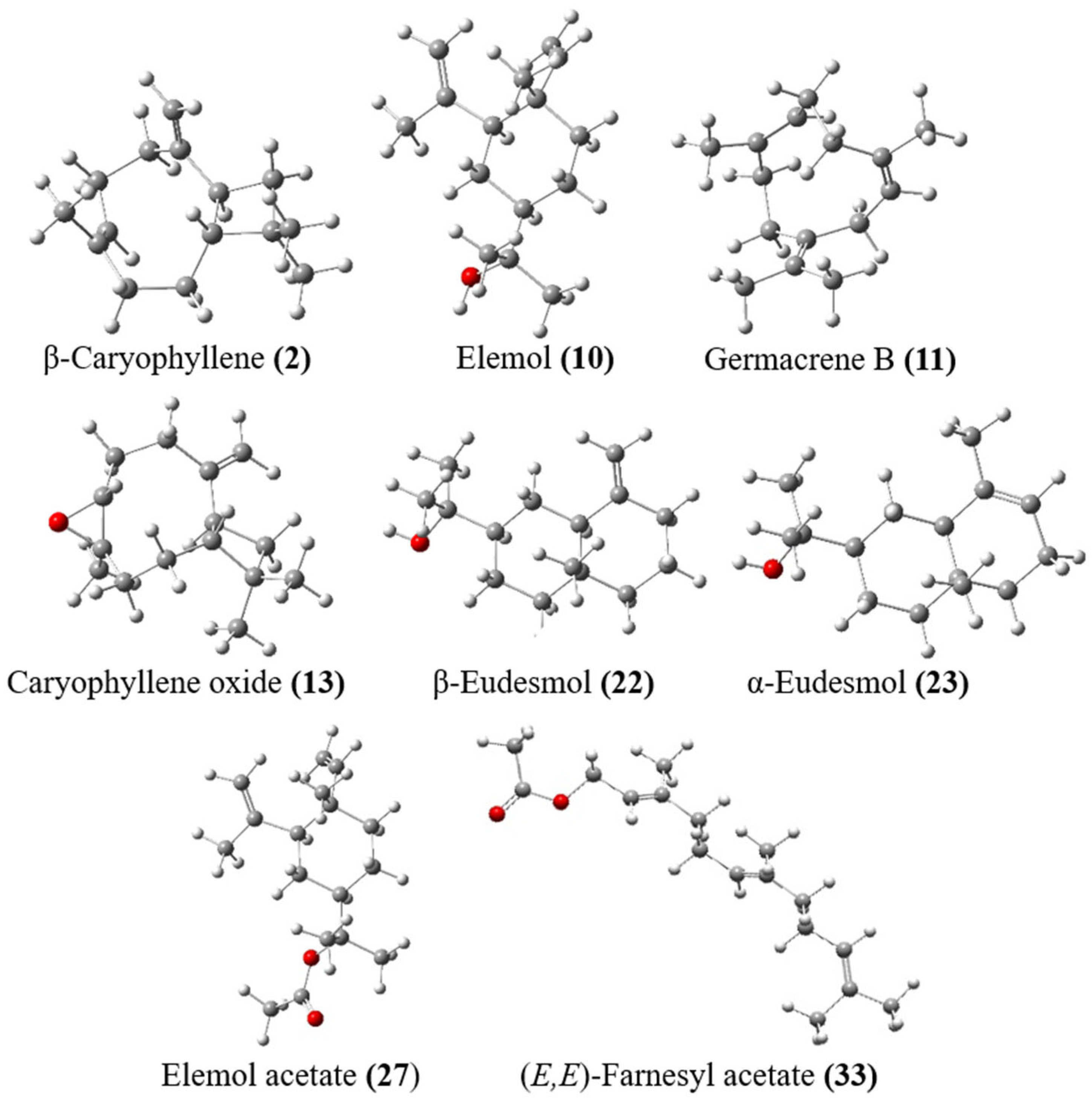 Biomolecules 14 01464 g005