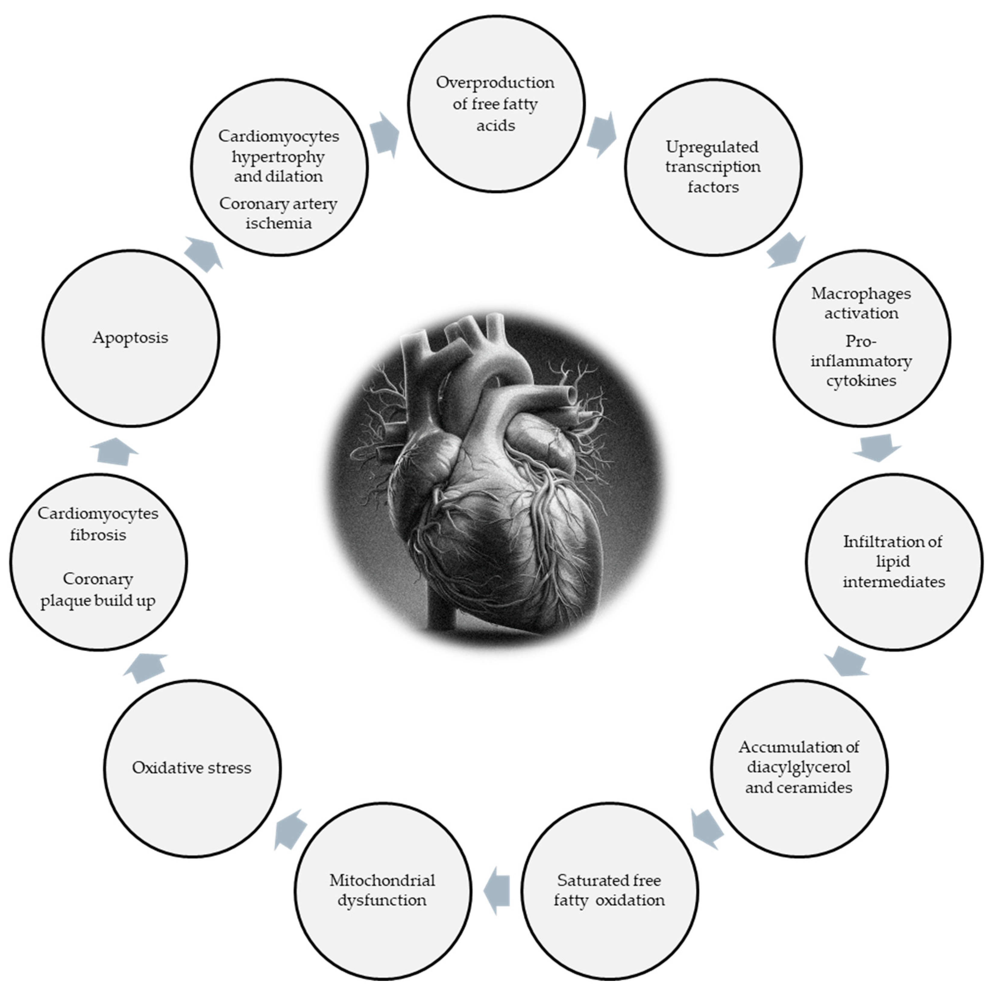 Biomolecules 14 01465 g001