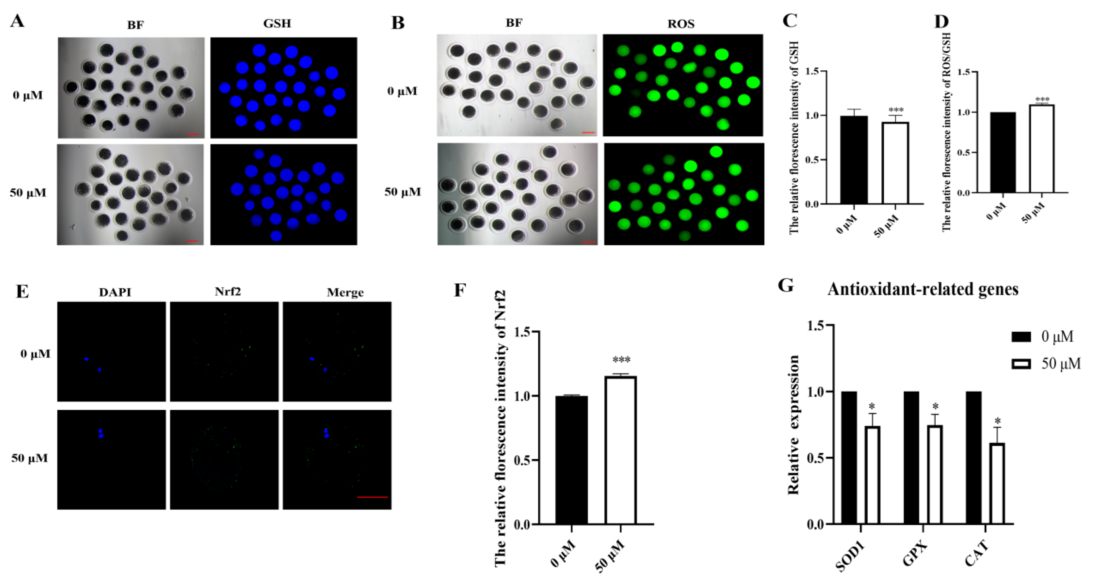 Biomolecules 14 01466 g002