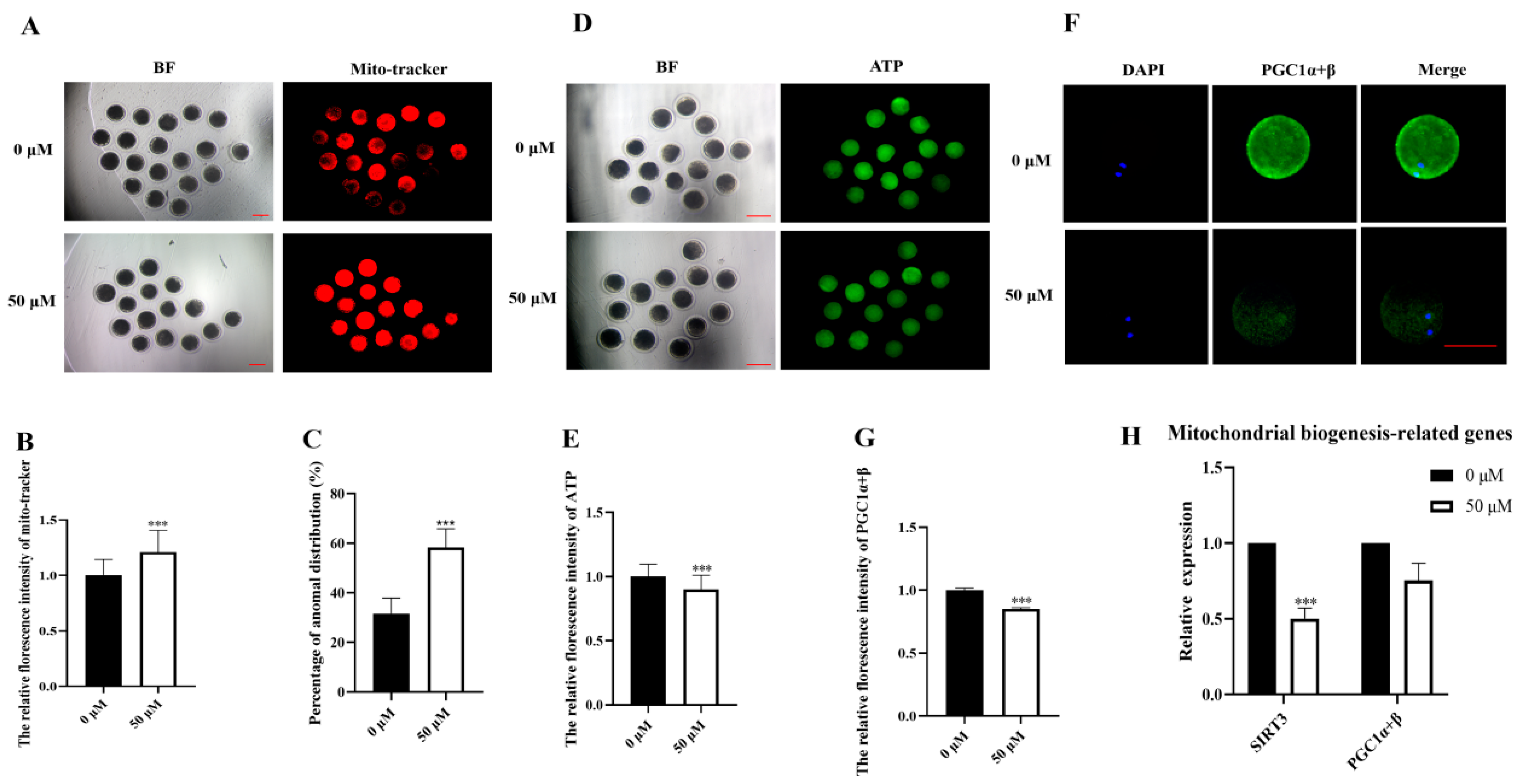 Biomolecules 14 01466 g003