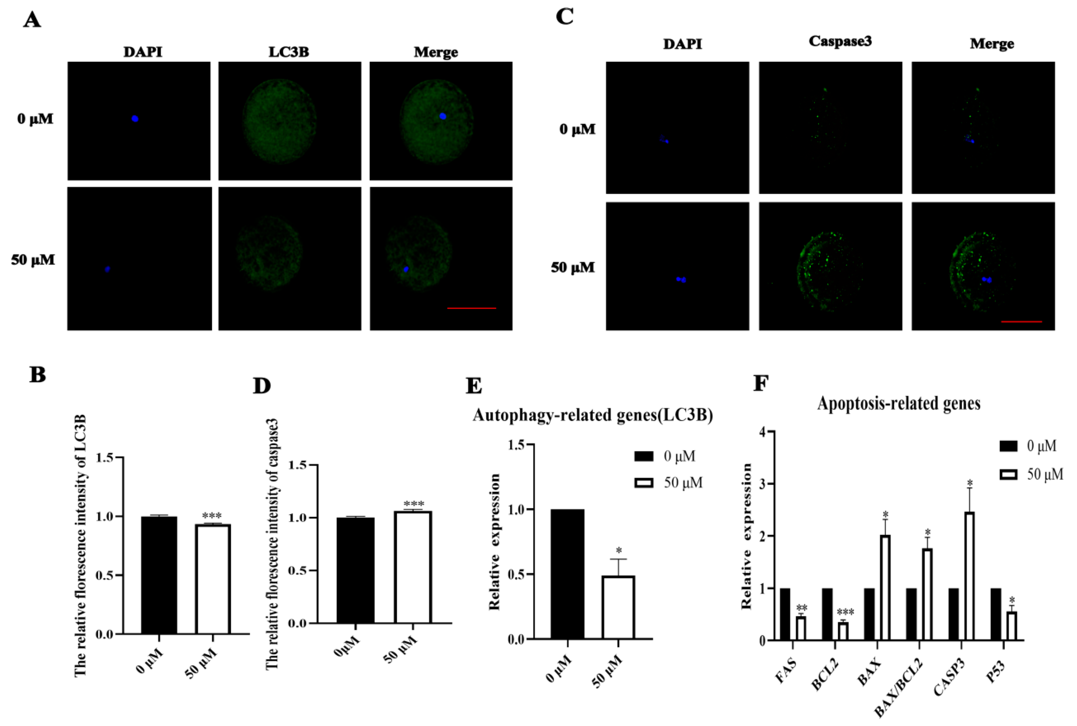 Biomolecules 14 01466 g004