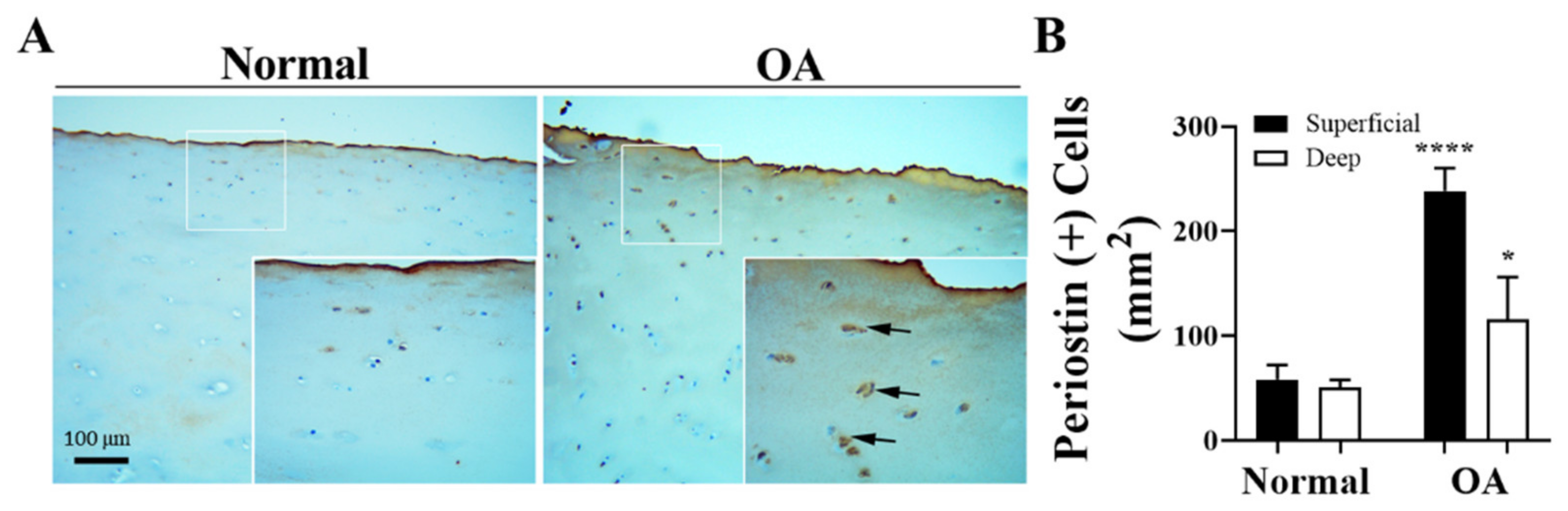 Biomolecules 14 01469 g001