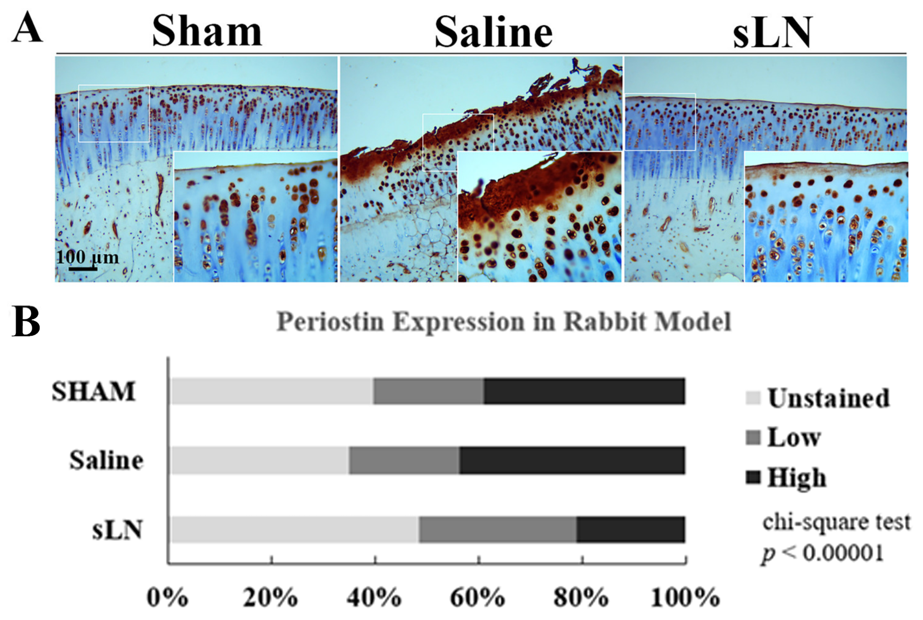 Biomolecules 14 01469 g004