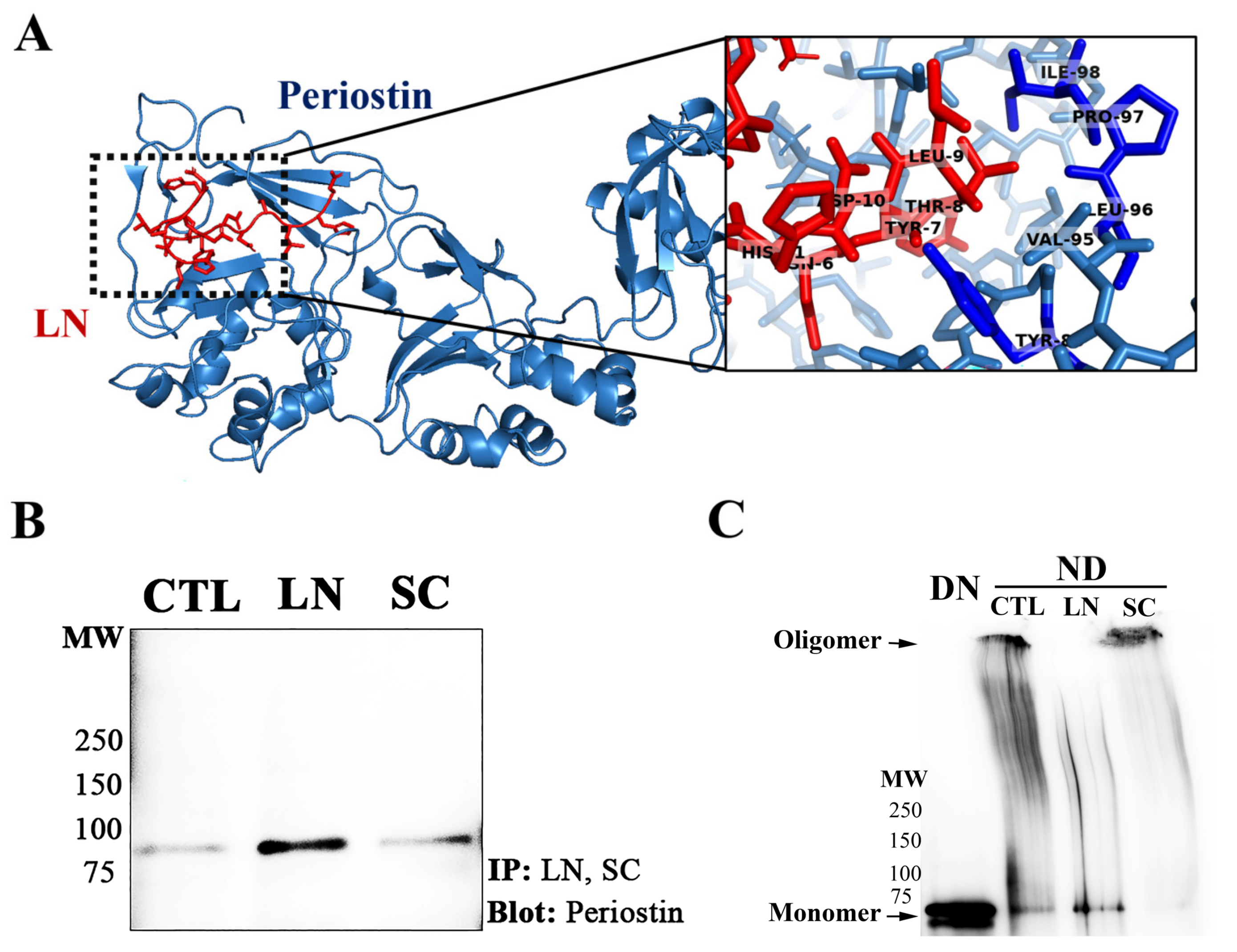 Biomolecules 14 01469 g007