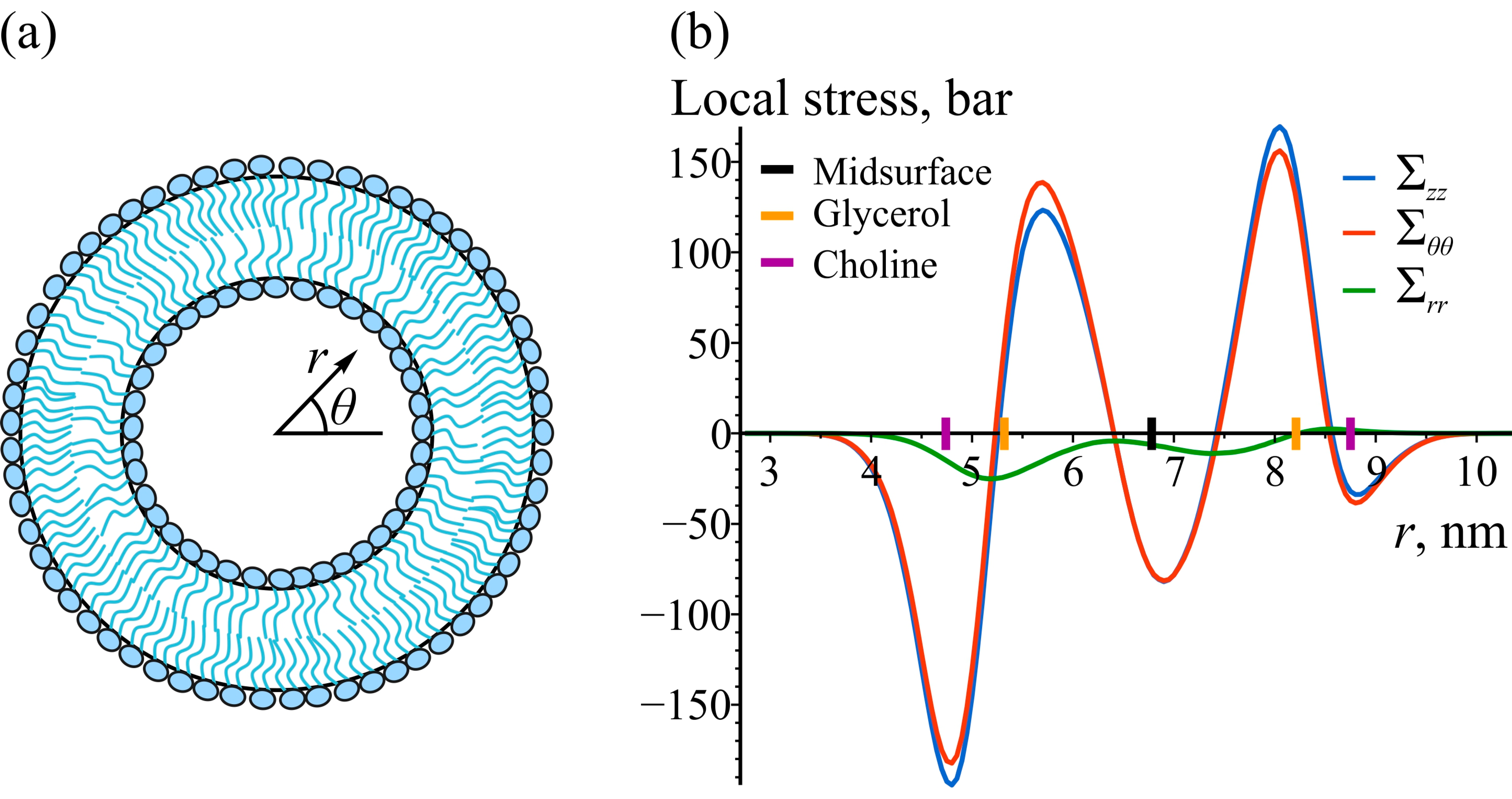 Biomolecules 14 01471 g002