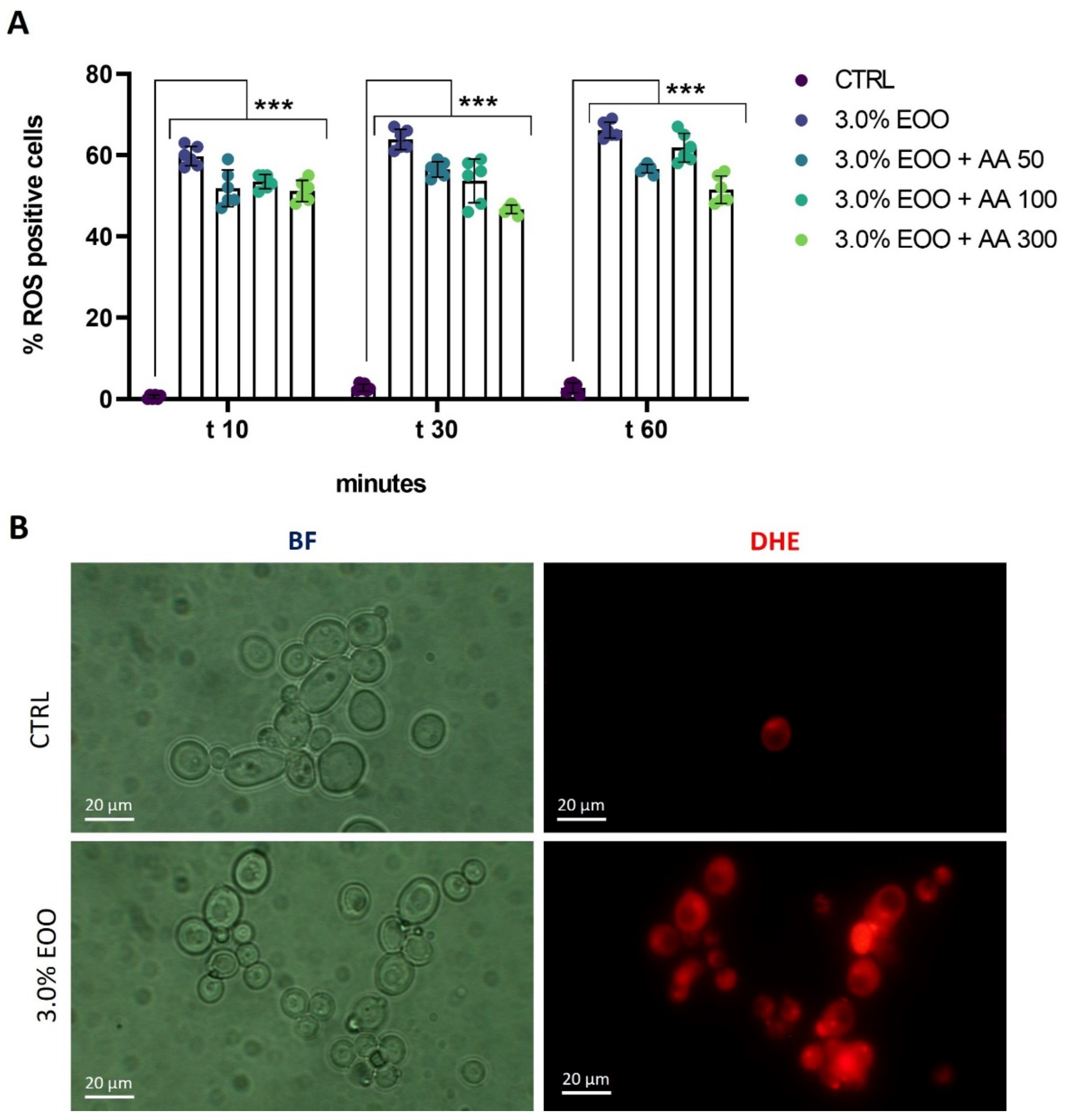 Biomolecules 14 01472 g004