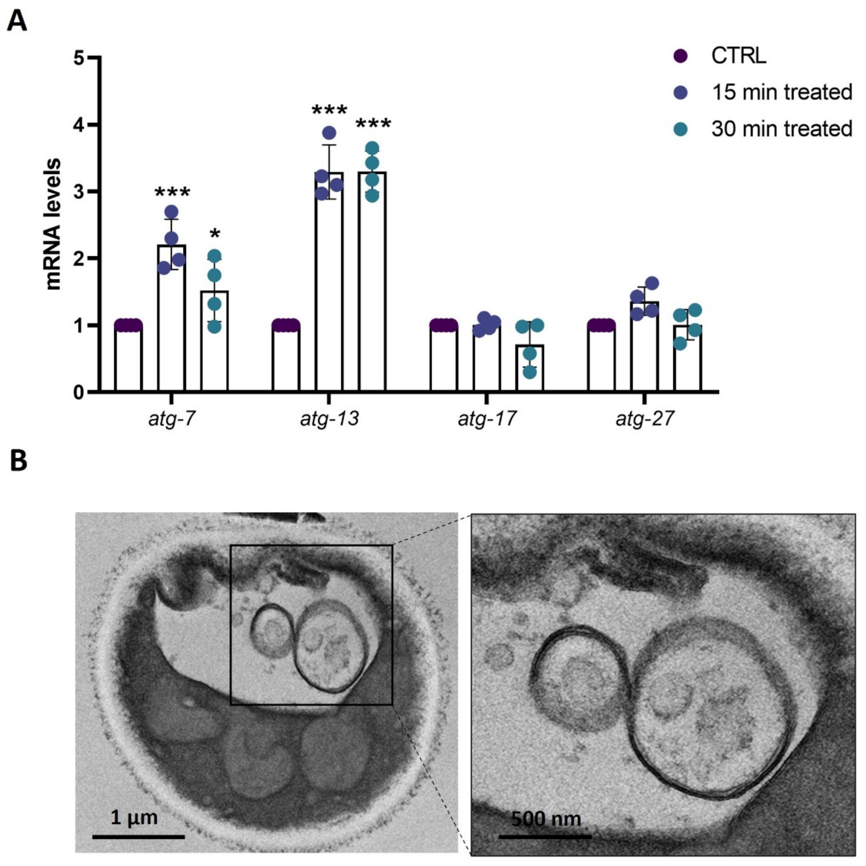 Biomolecules 14 01472 g005