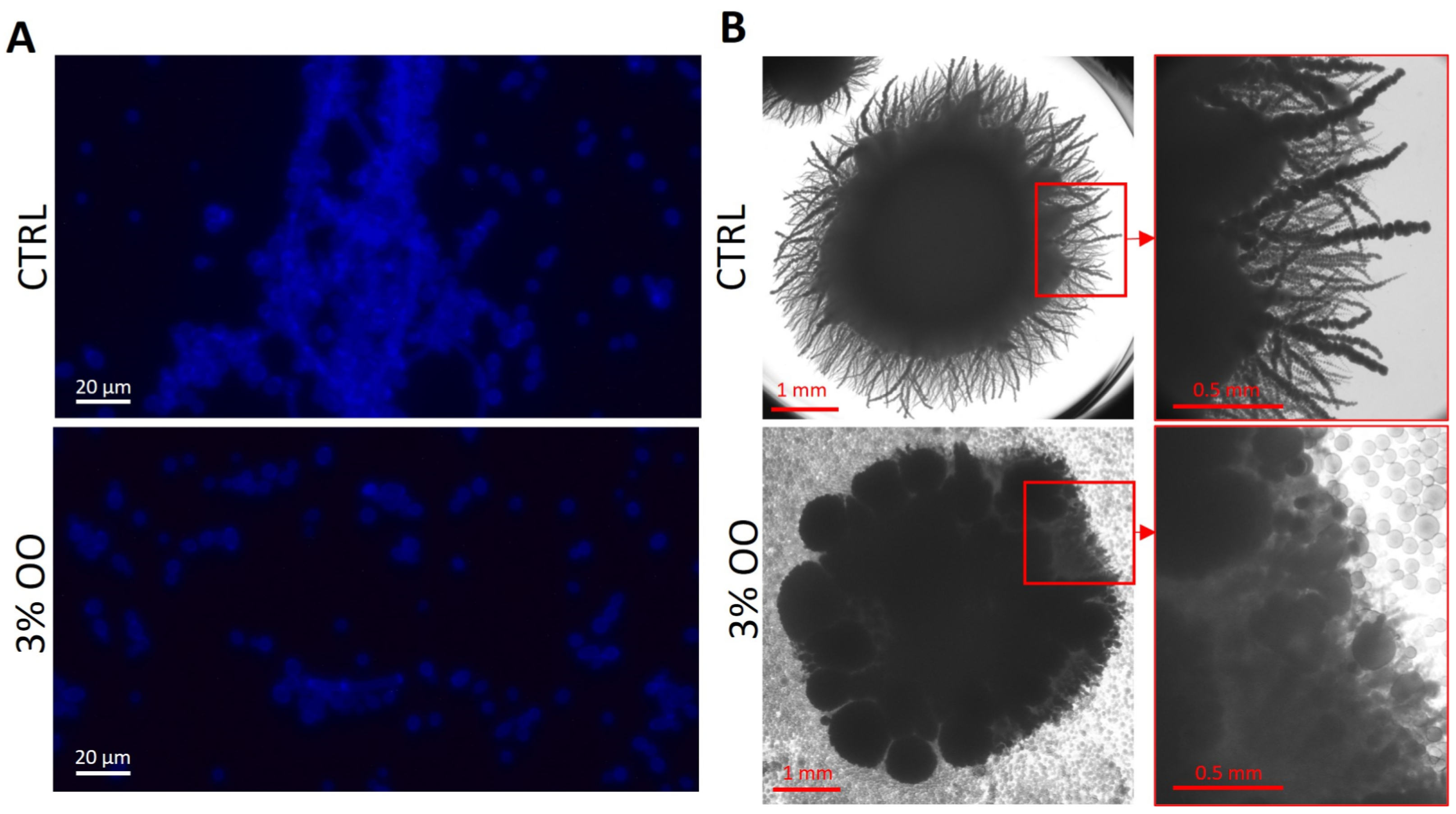 Biomolecules 14 01472 g006