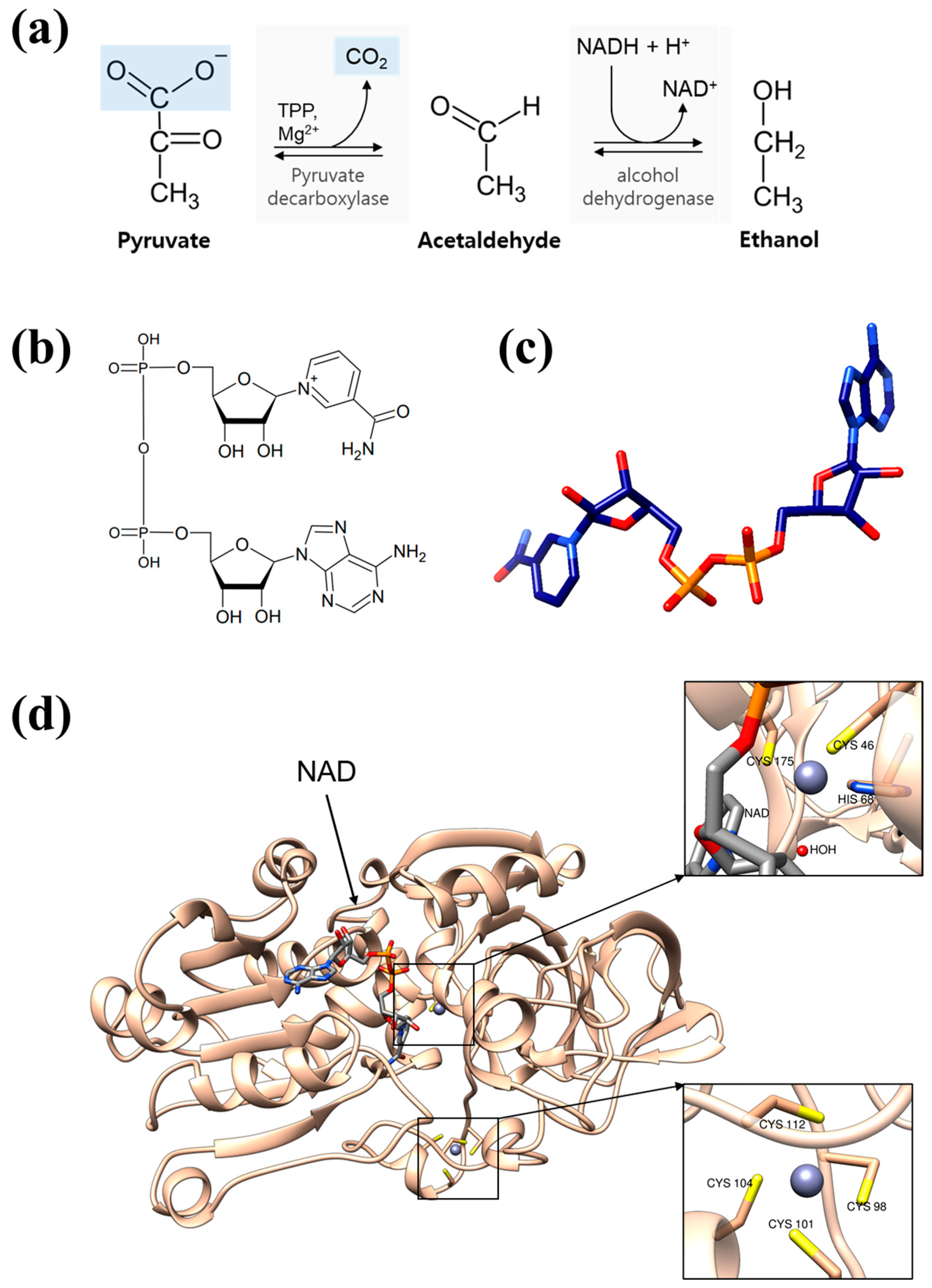 Biomolecules 14 01473 g001