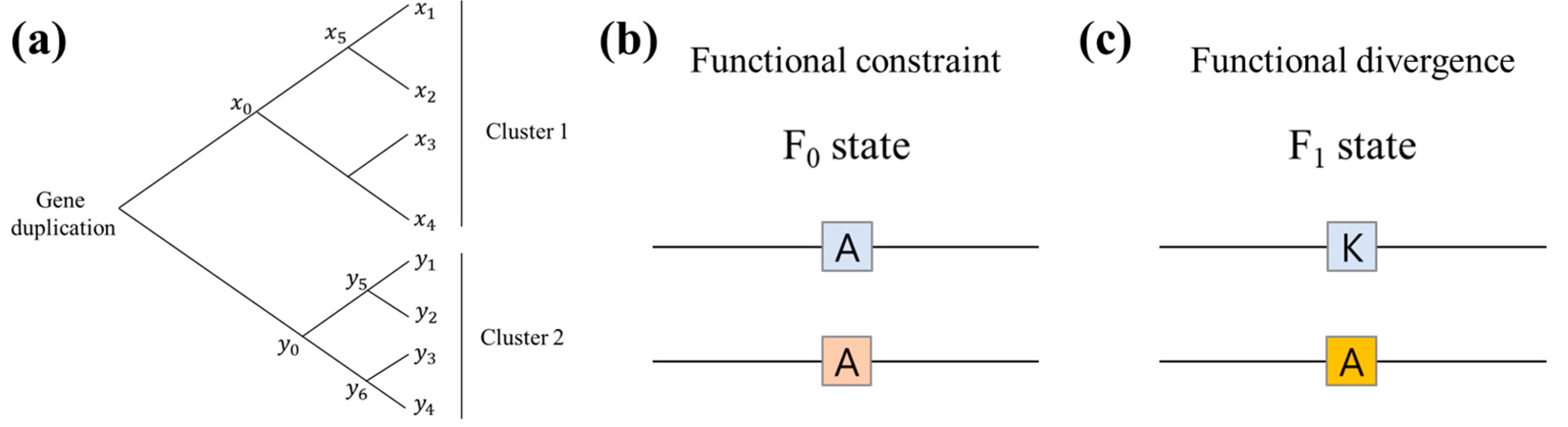 Biomolecules 14 01473 g002
