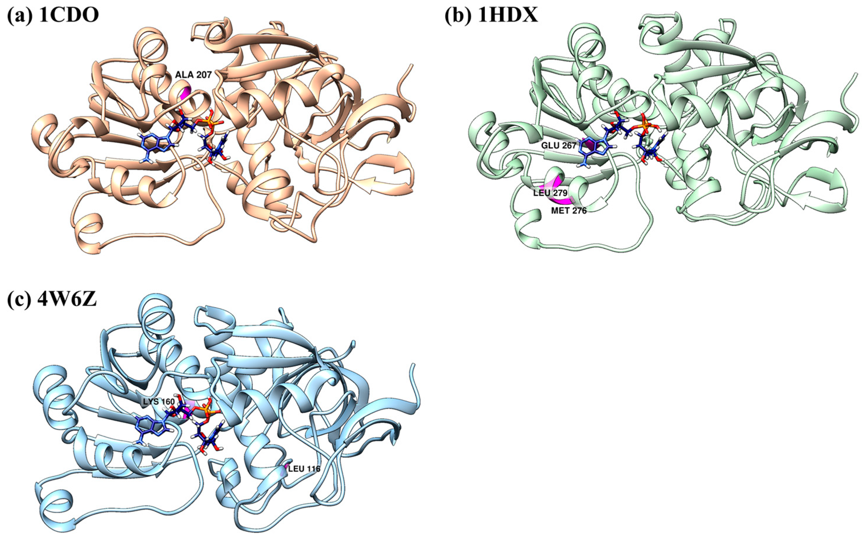 Biomolecules 14 01473 g007