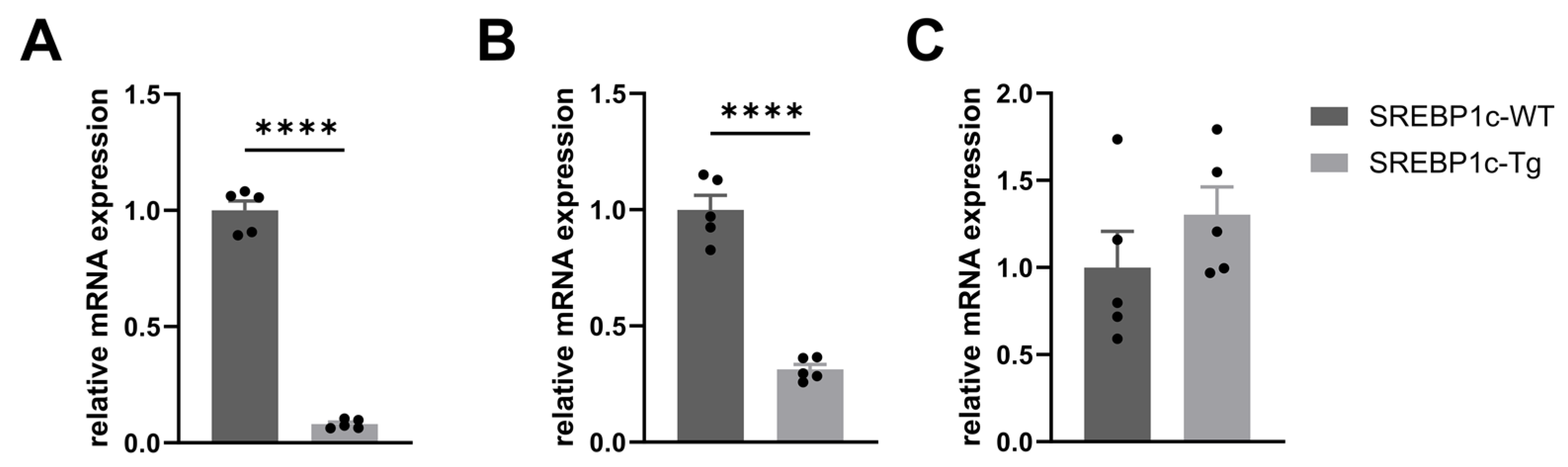 Biomolecules 14 01474 g001 Biomolecules 14 01474 g001