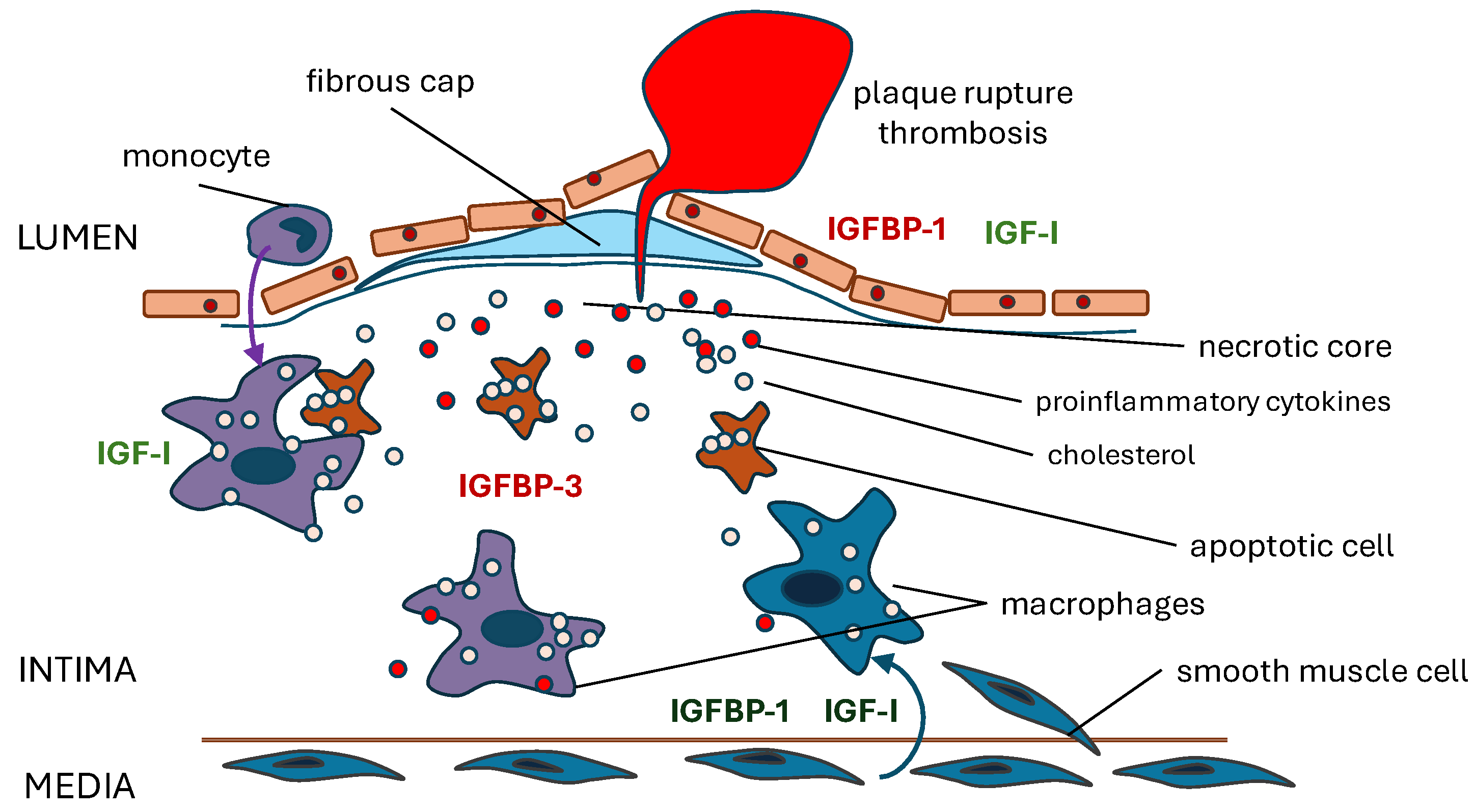 Biomolecules 14 01475 g002