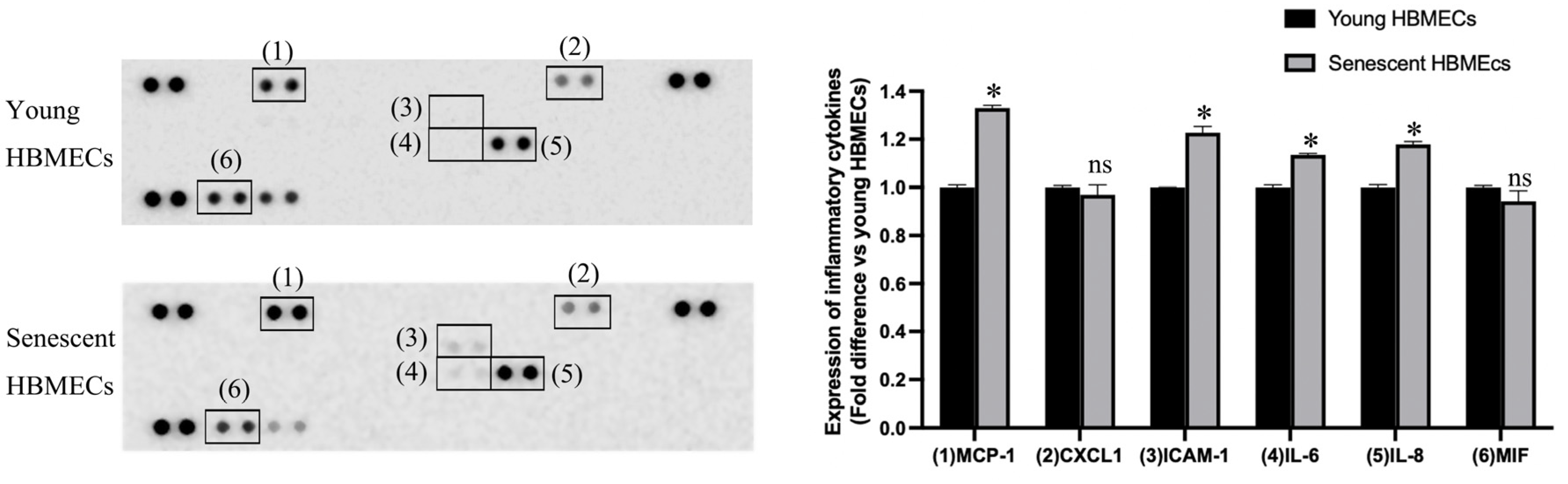 Biomolecules 14 01476 g005