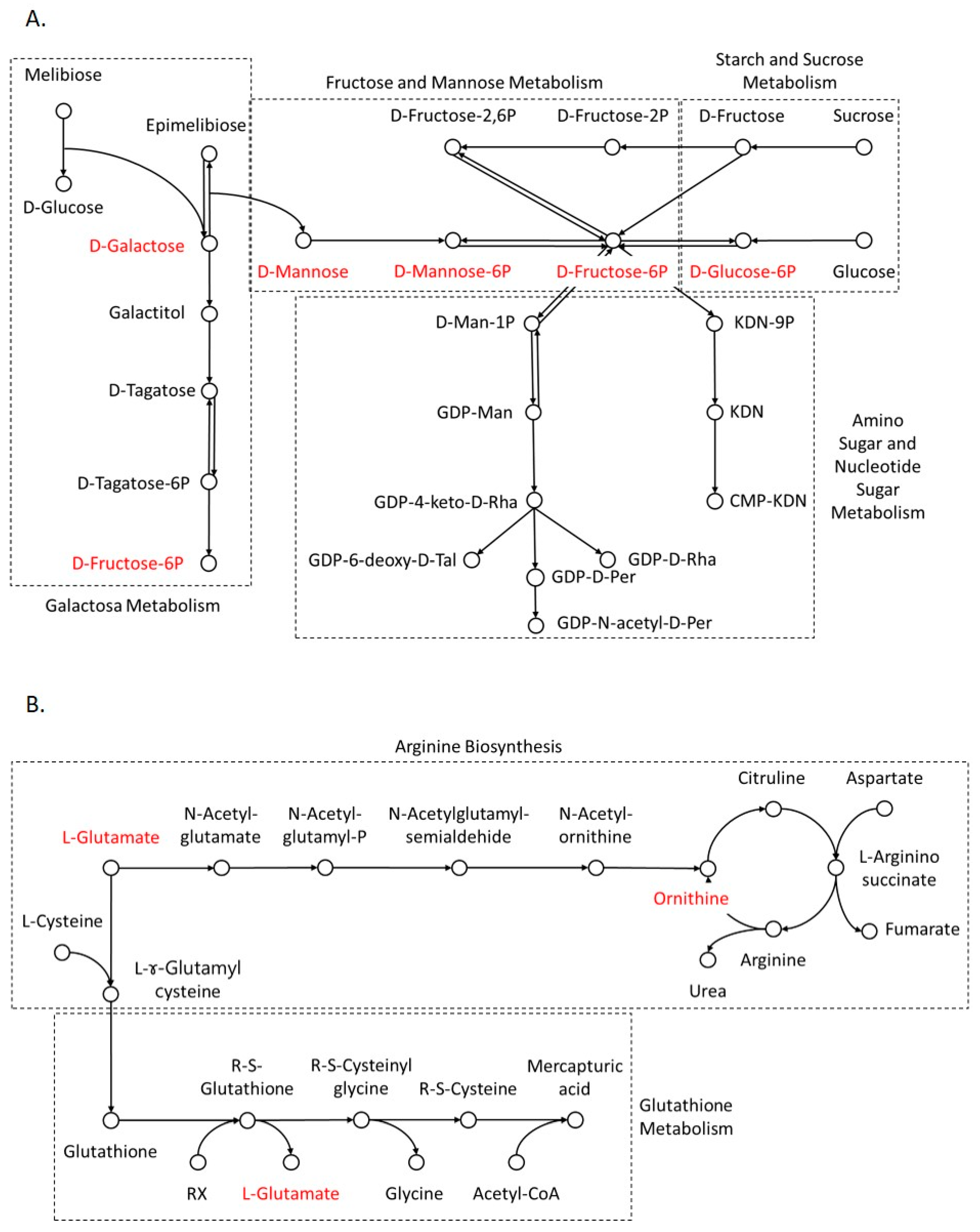Biomolecules 14 01477 g001