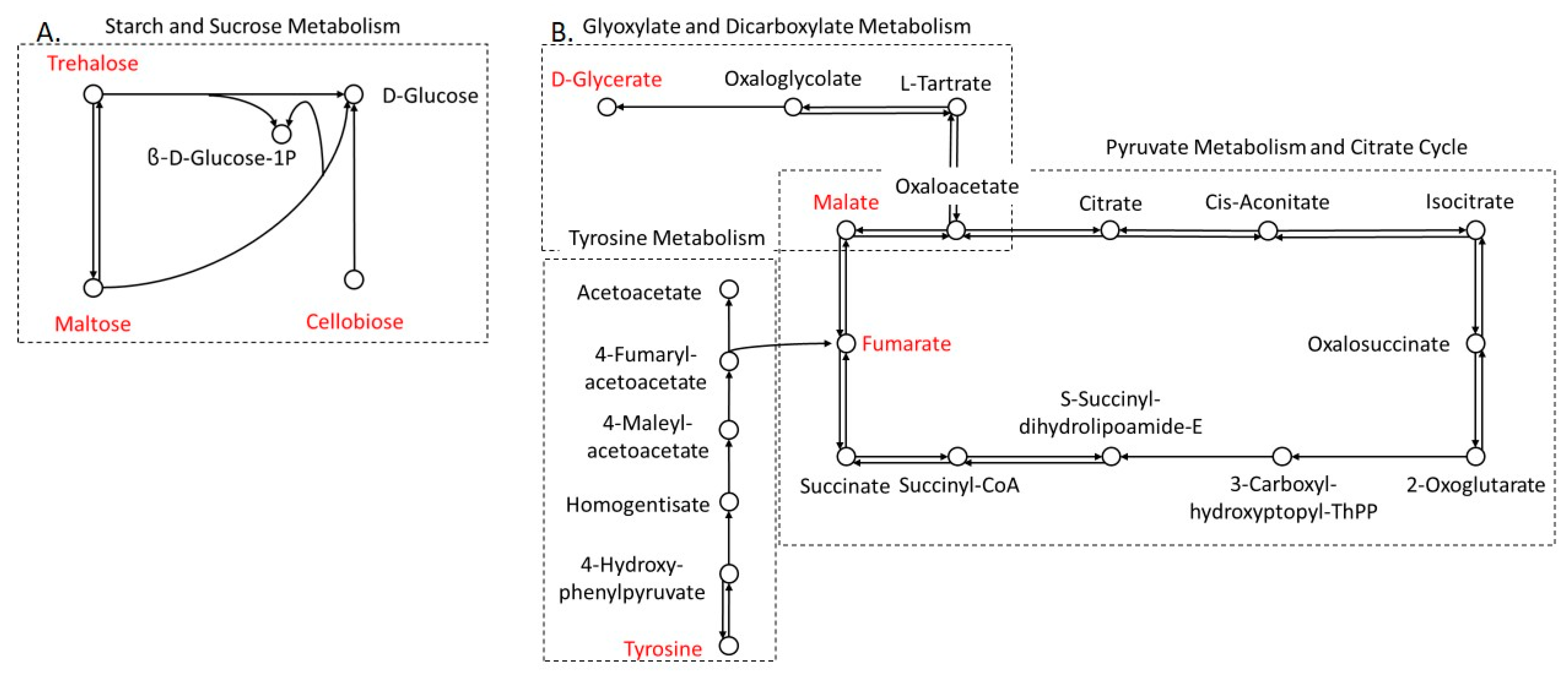 Biomolecules 14 01477 g002